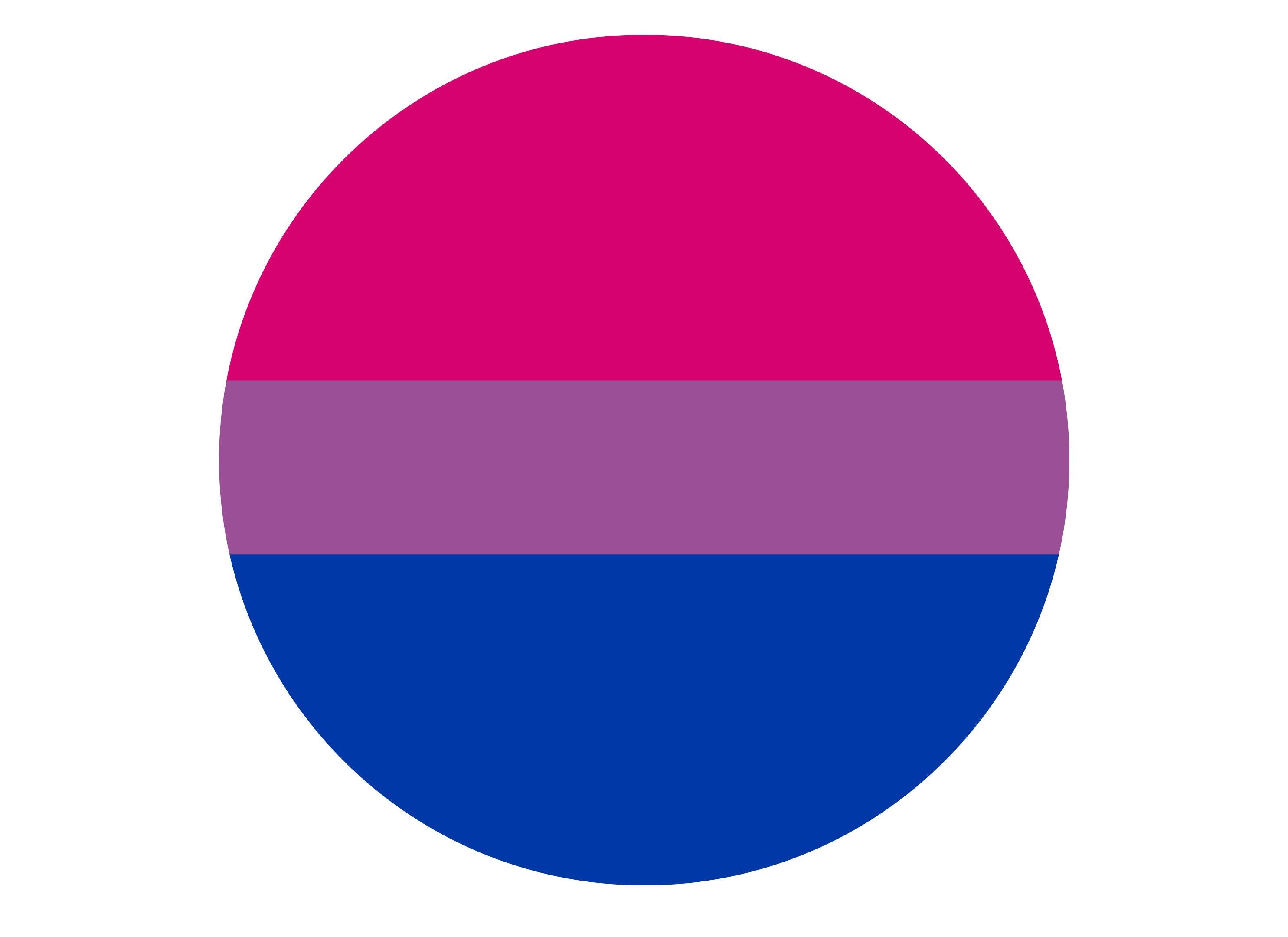Bisexual Pride Flag