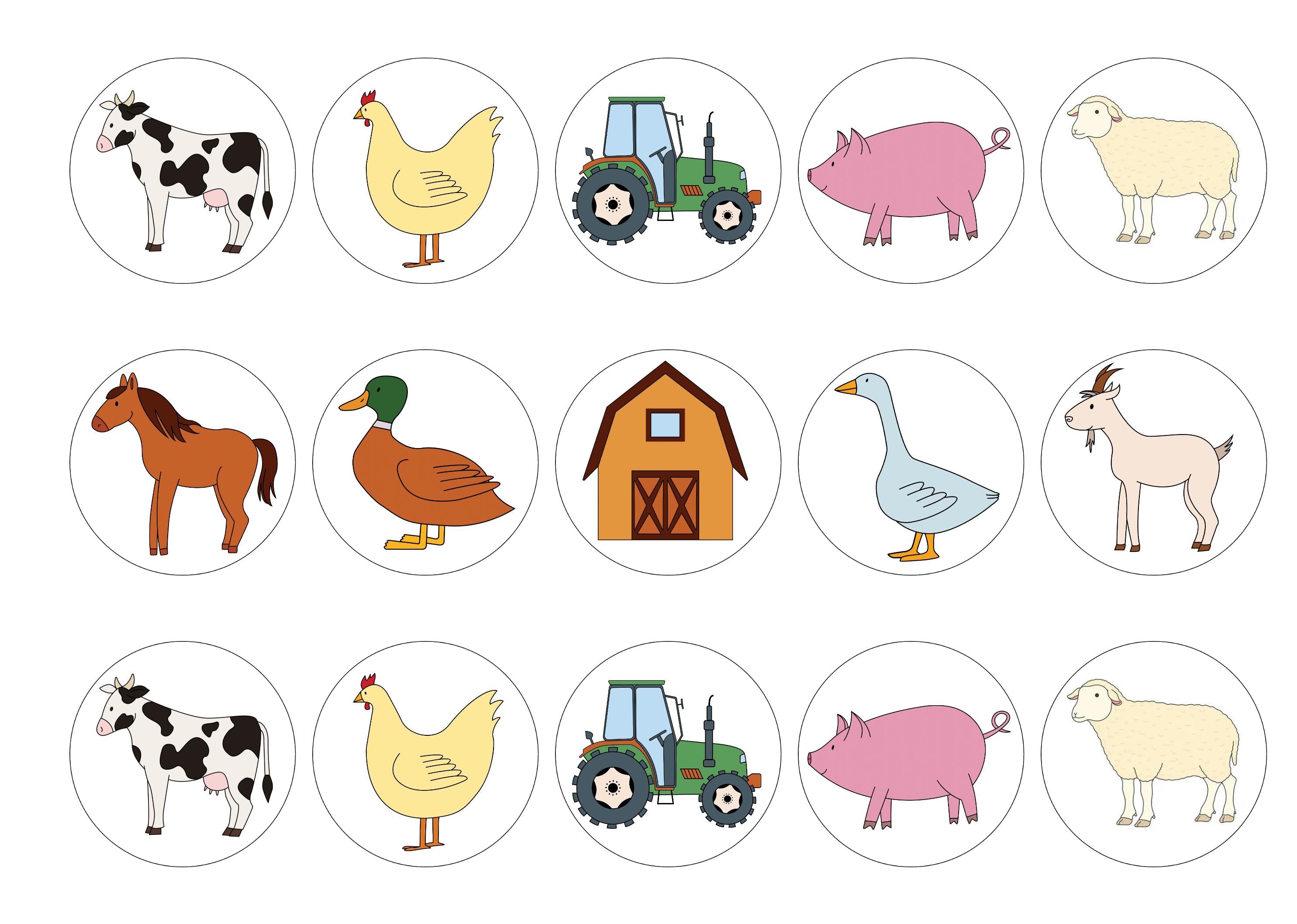 Farm Animals
