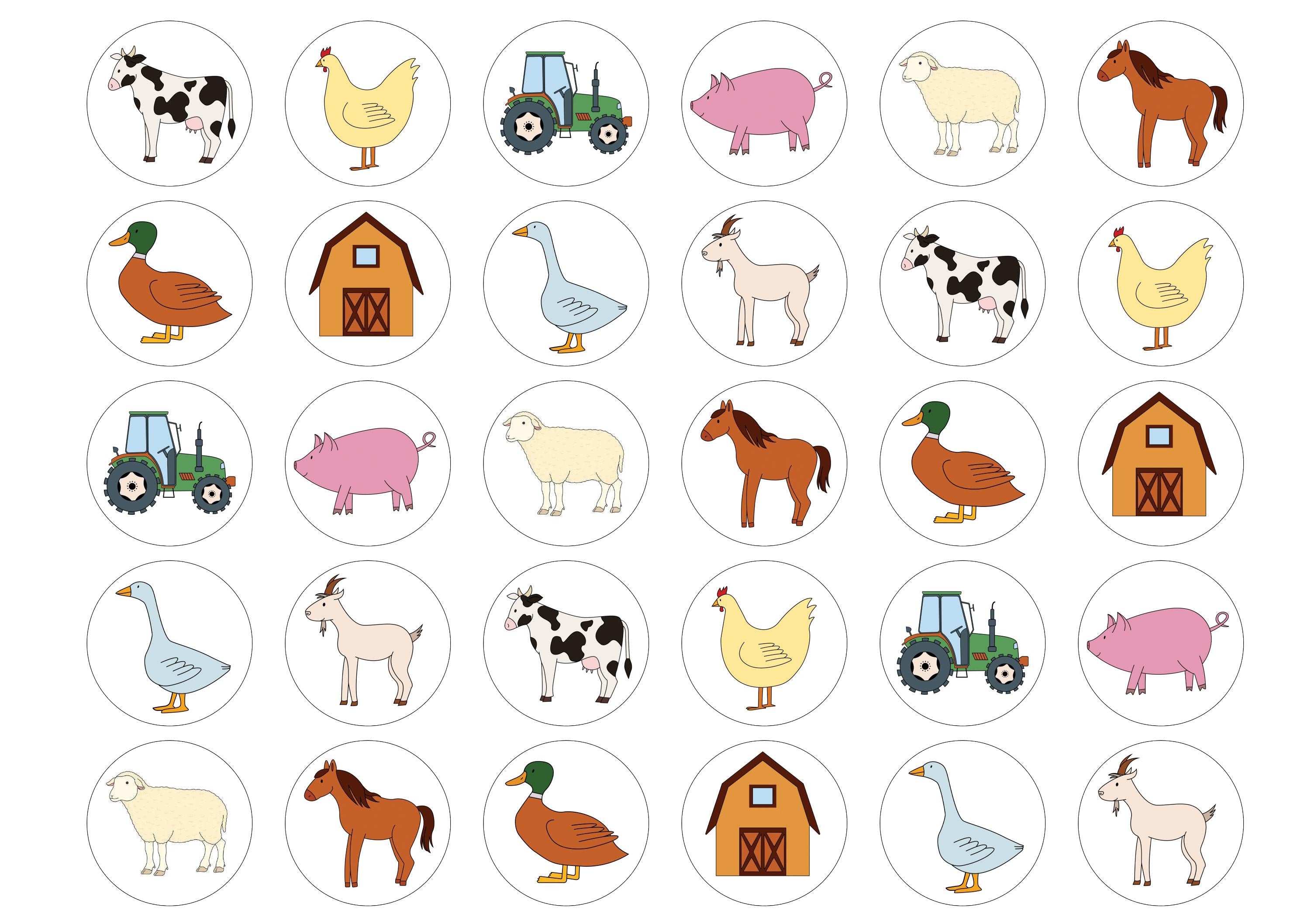Farm Animals
