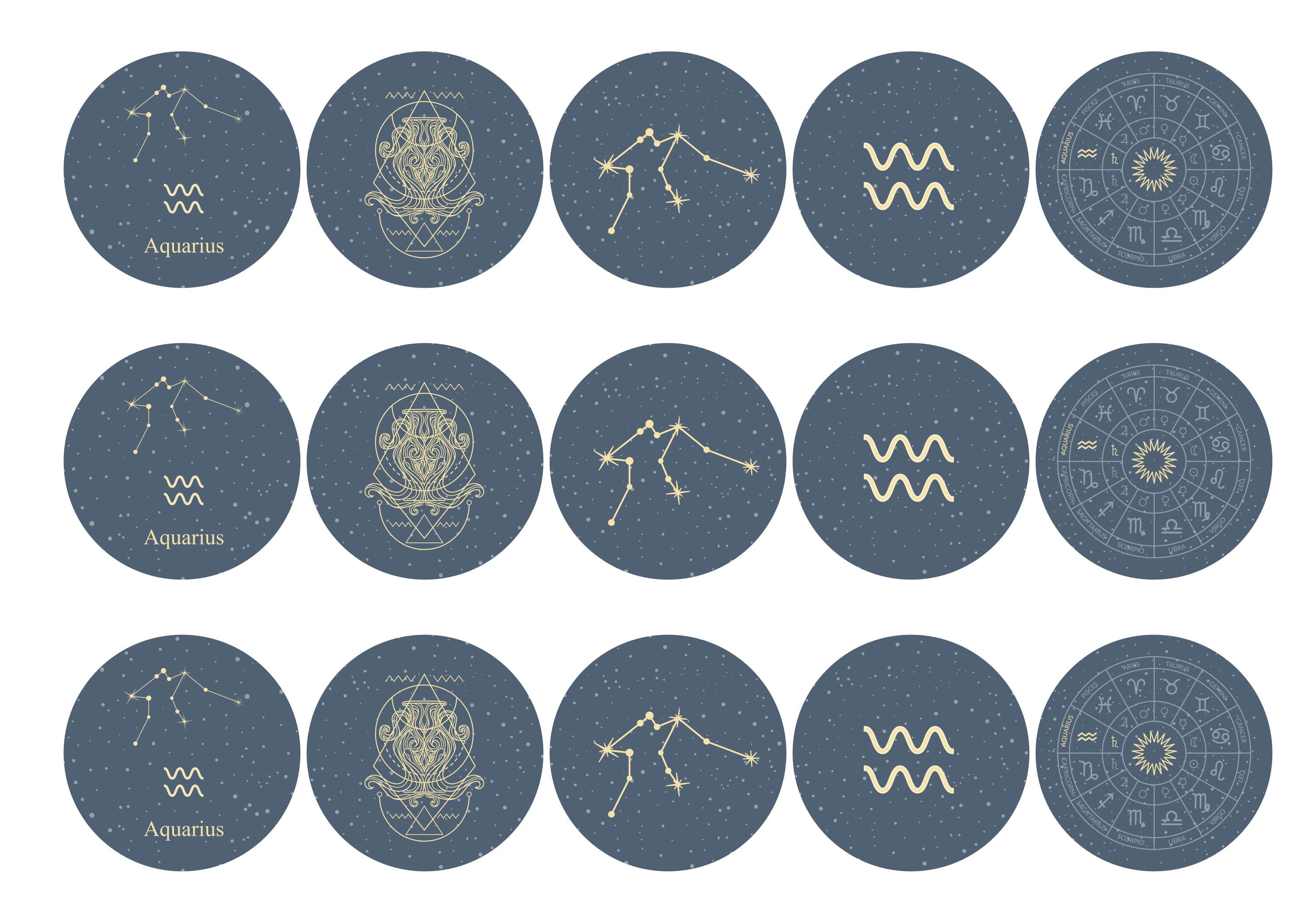 15 Aquaries themed zodiac cupcake toppers