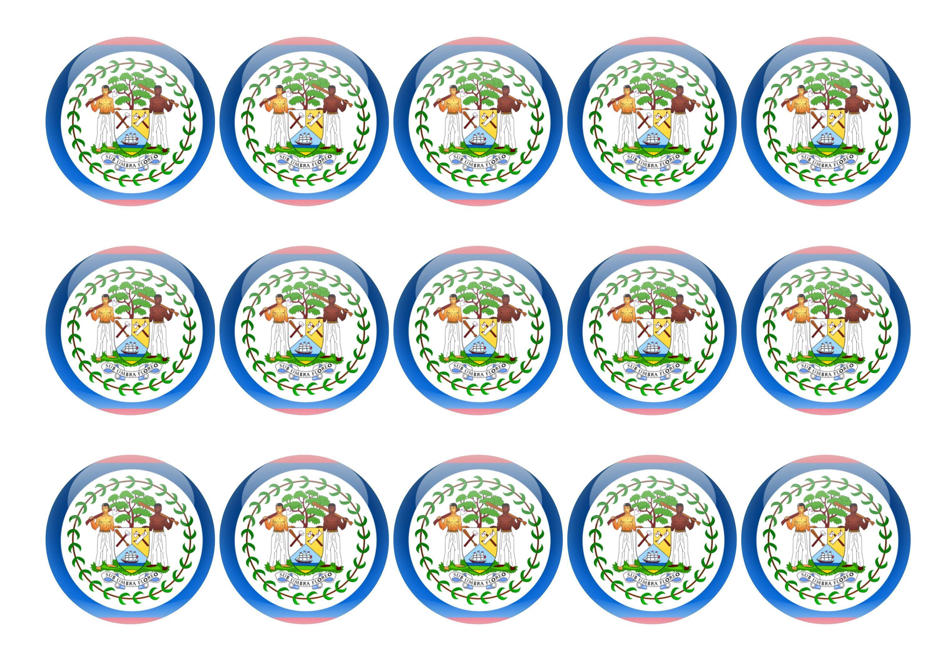 50mm printed edible cupcake toppers - Belize