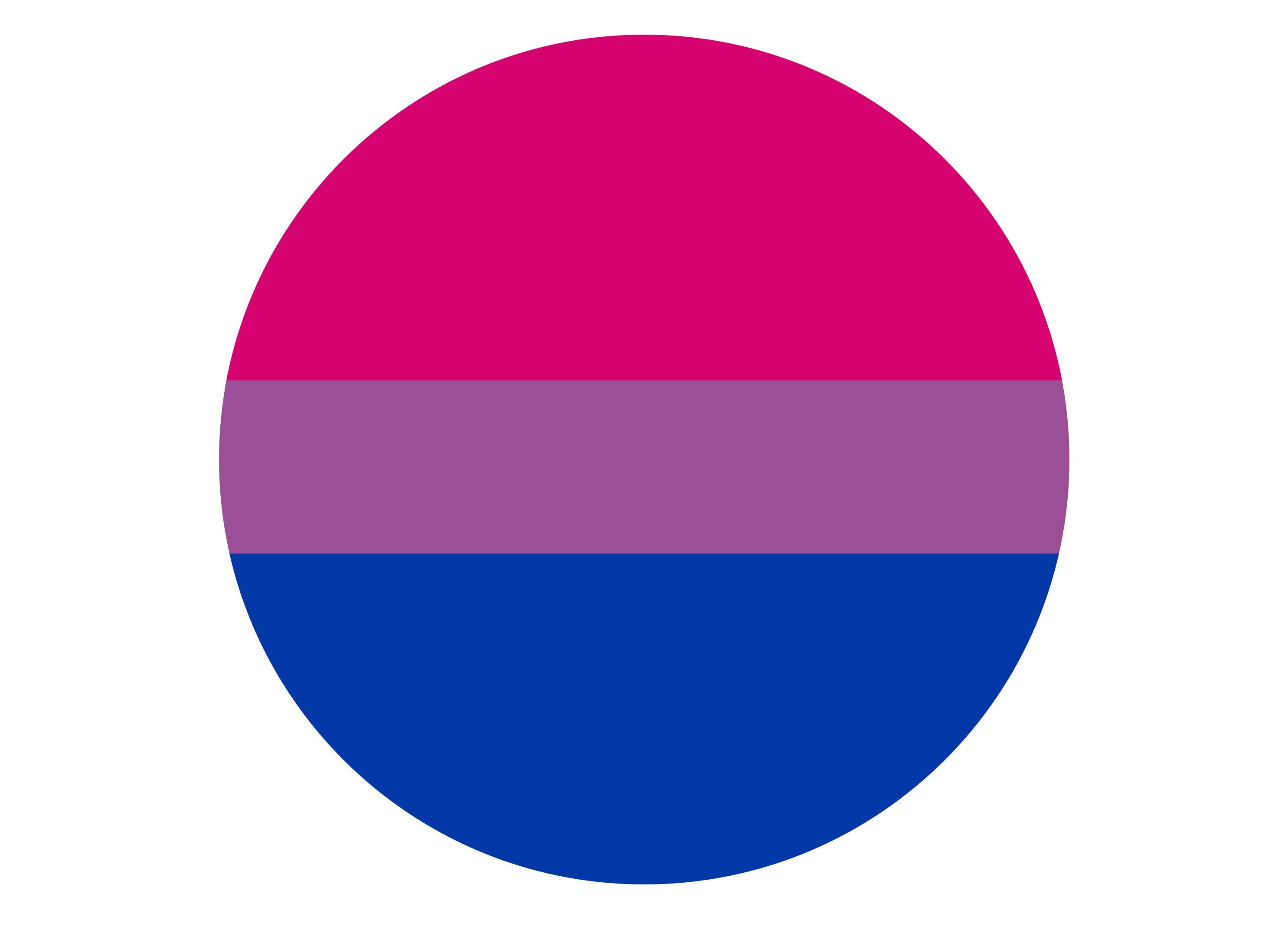 Bisexual Pride Flag