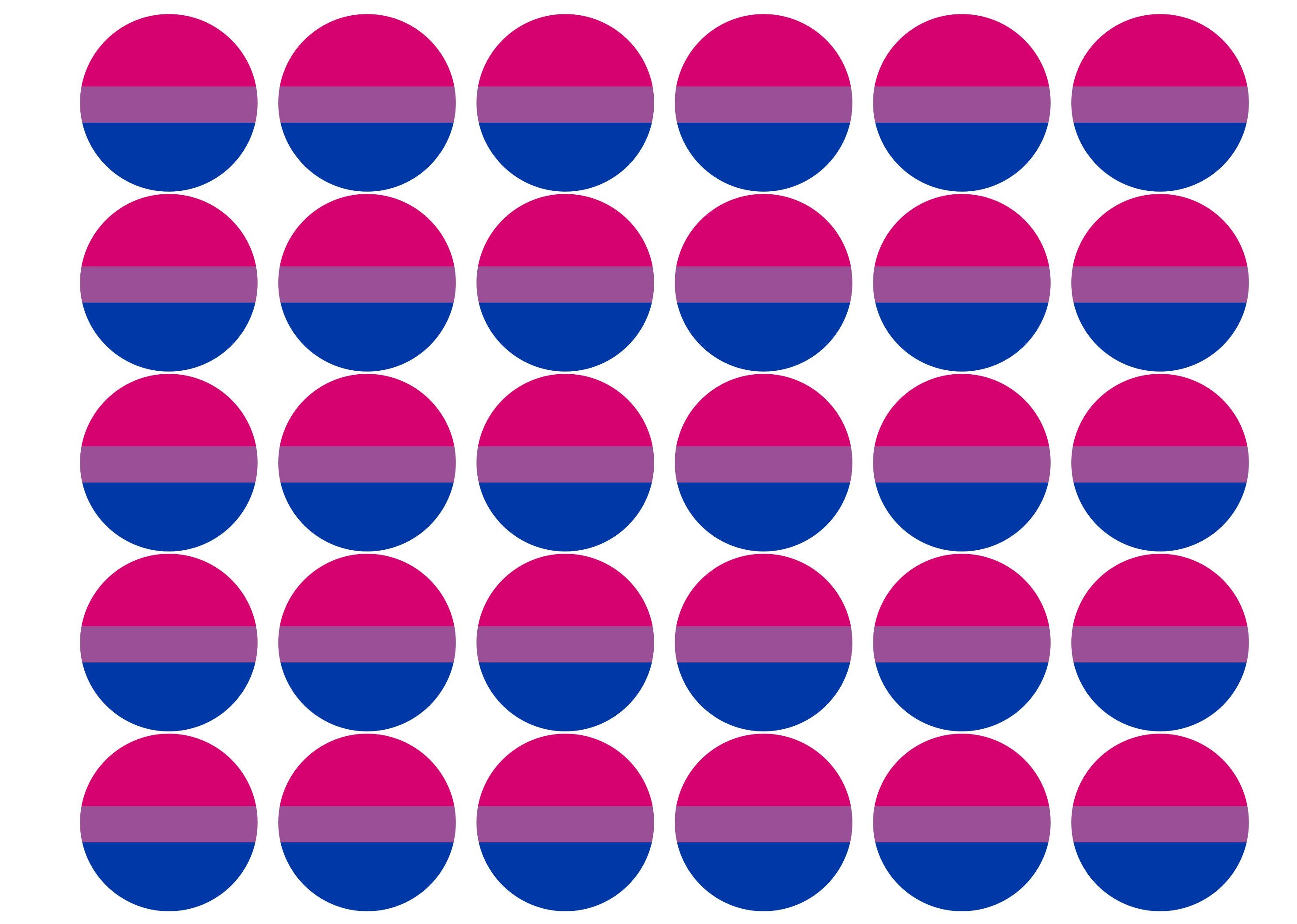 Bisexual Pride Flag