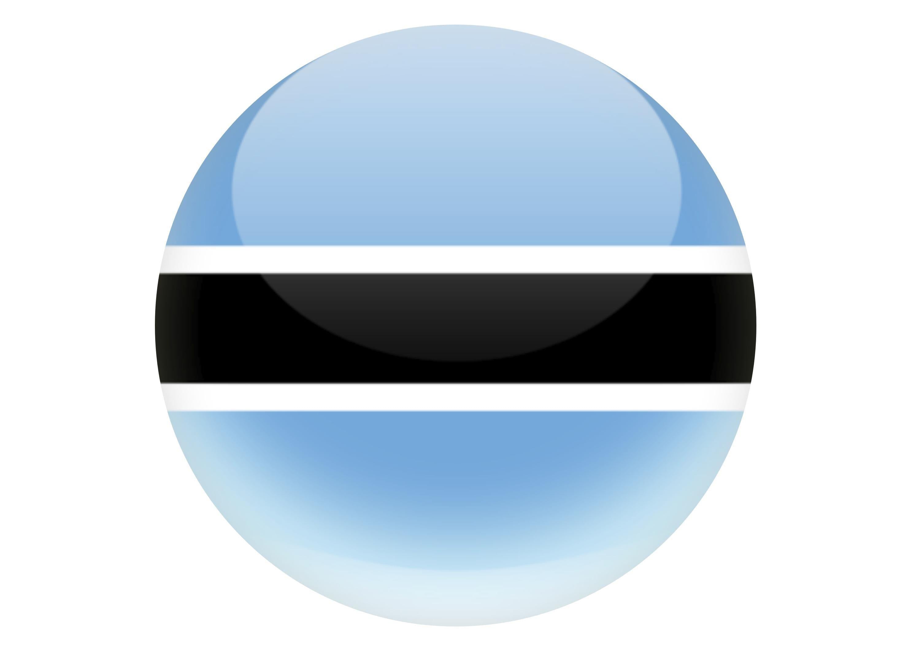 190mm printed edible cake topper - Botswana