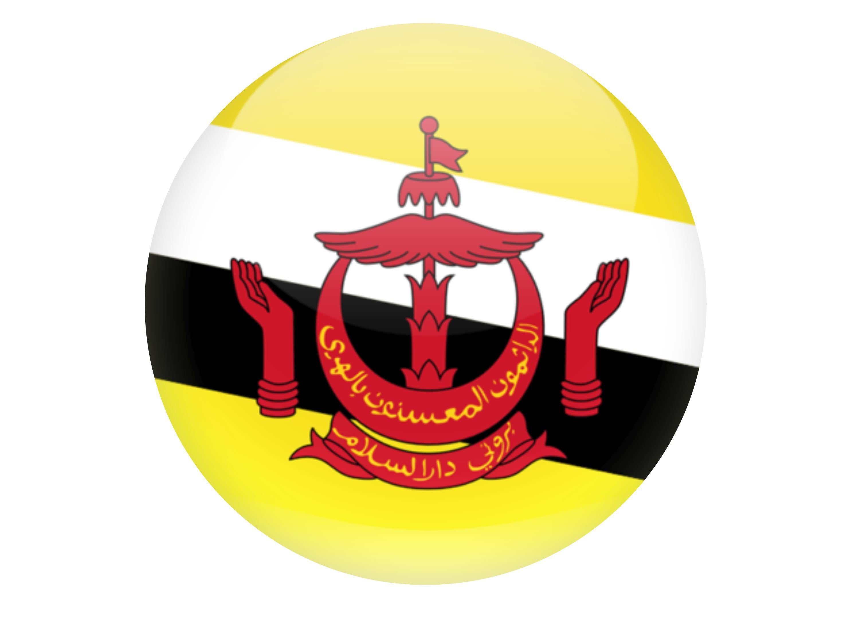 190mm printed edible cake topper - Brunei