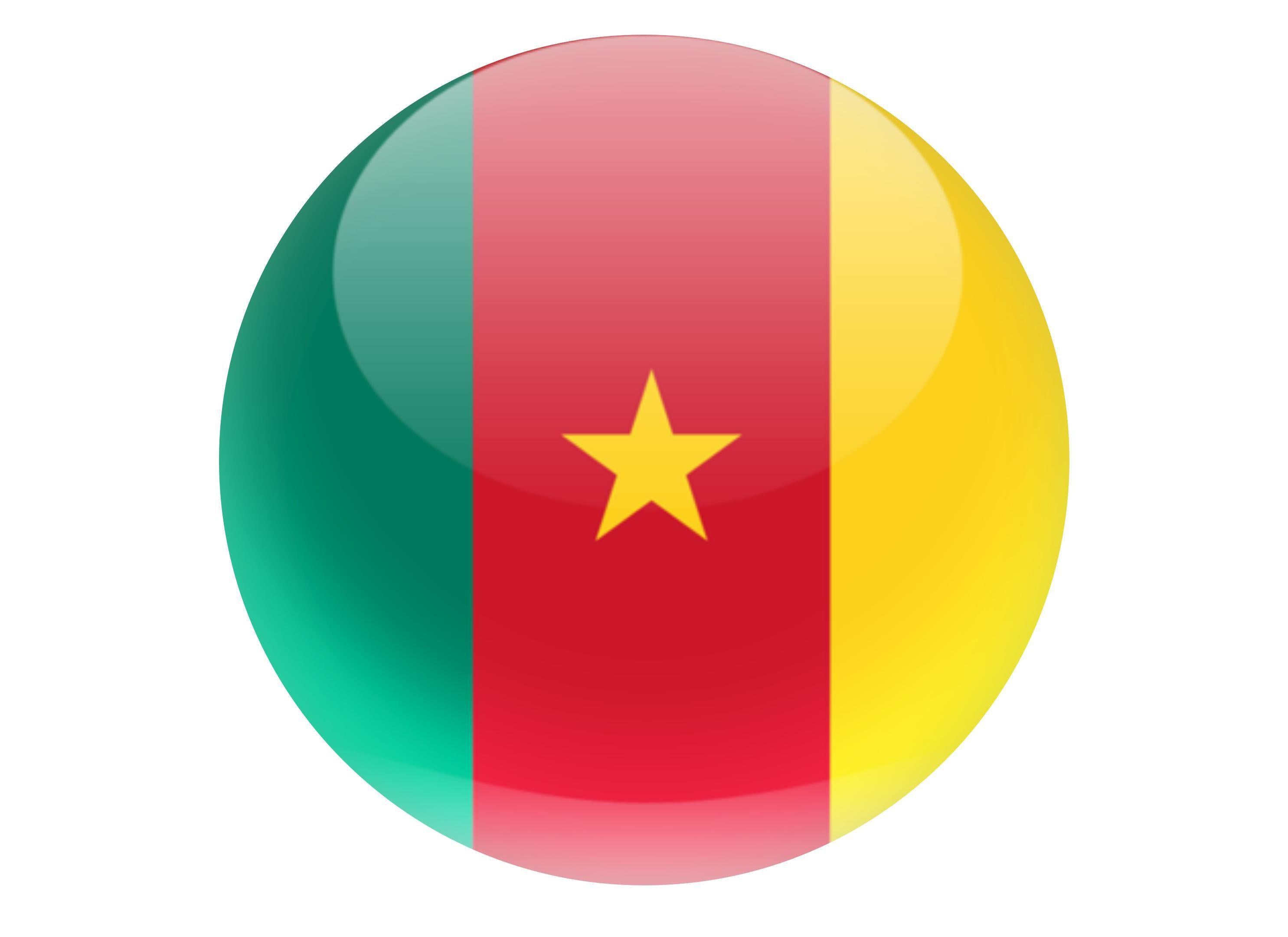 190mm printed edible cake topper - Cameroon