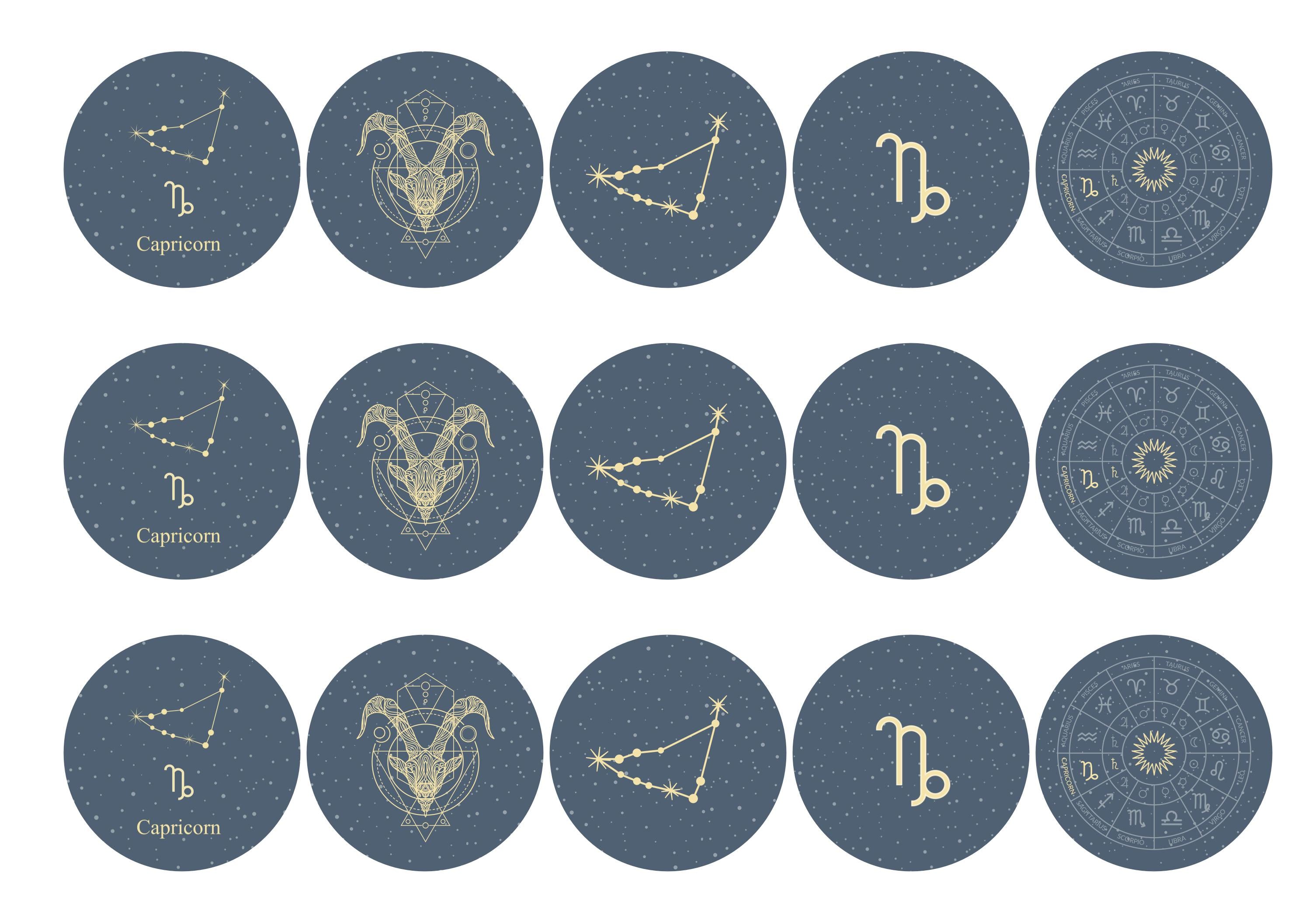 15 Capricorn themed zodiac toppers