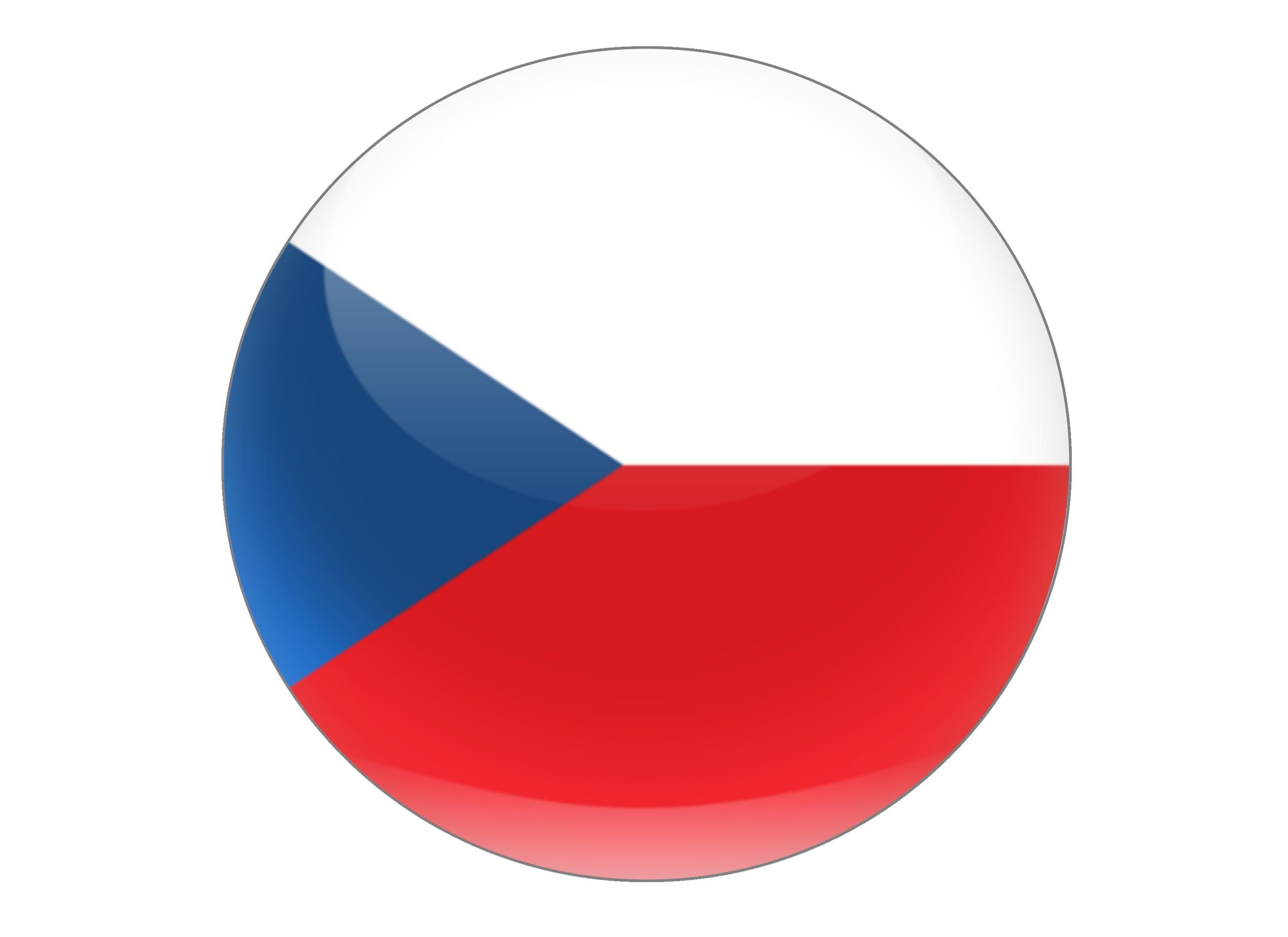 190mm printed edible cake topper - Czech Republic