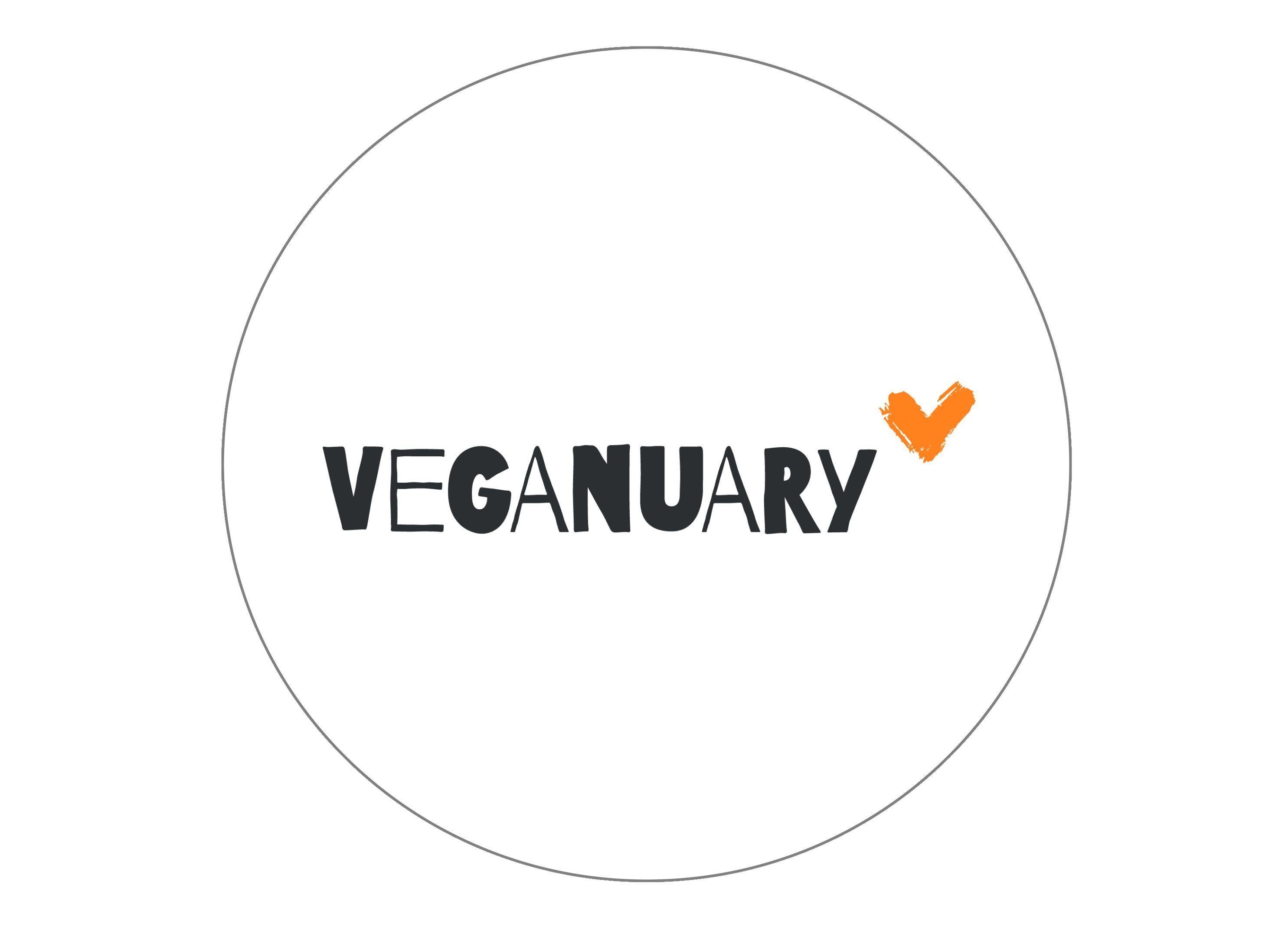 Large 190mm cake topper with the Veganuary Orange logo