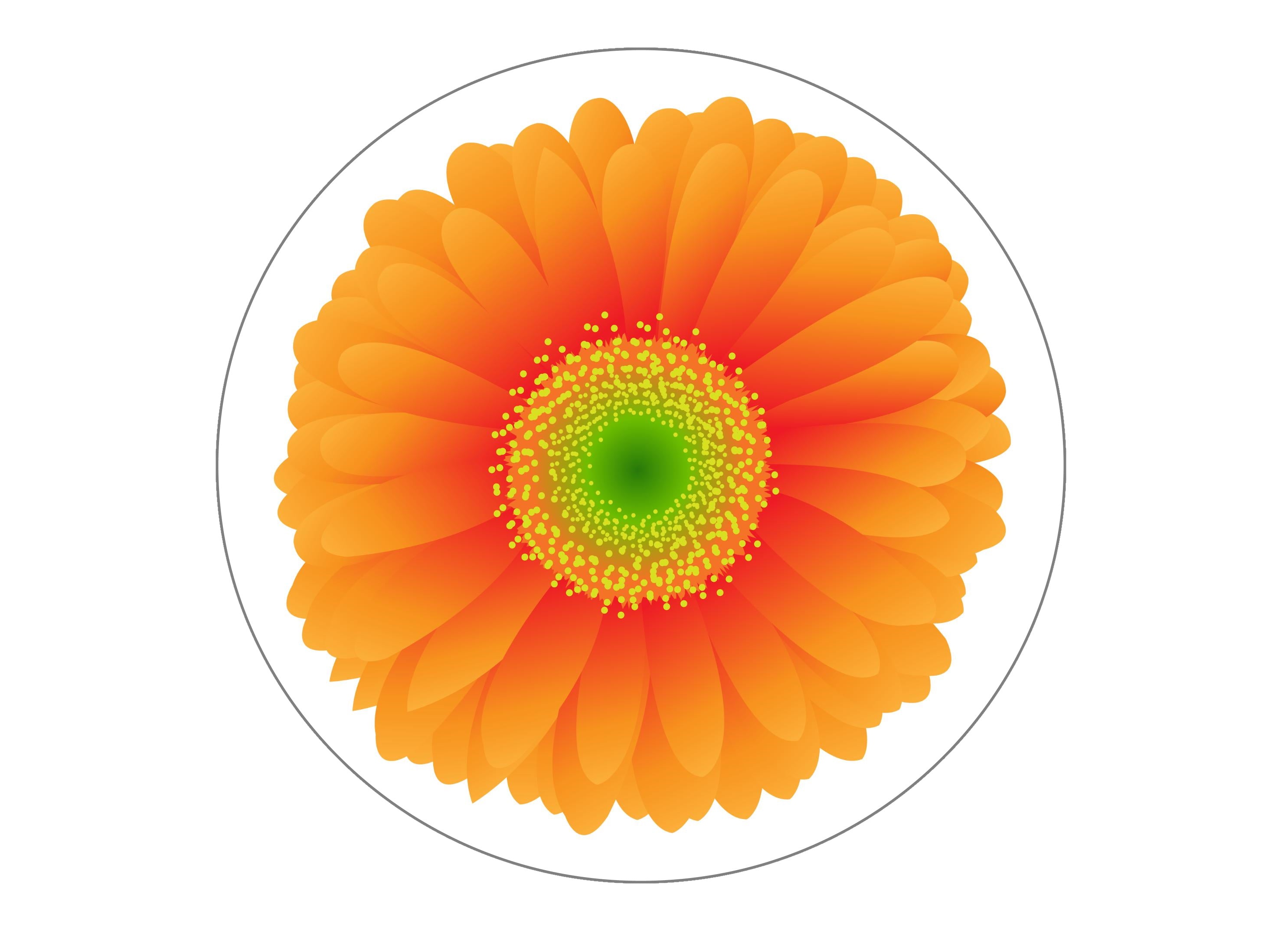 Multicoloured Flowers