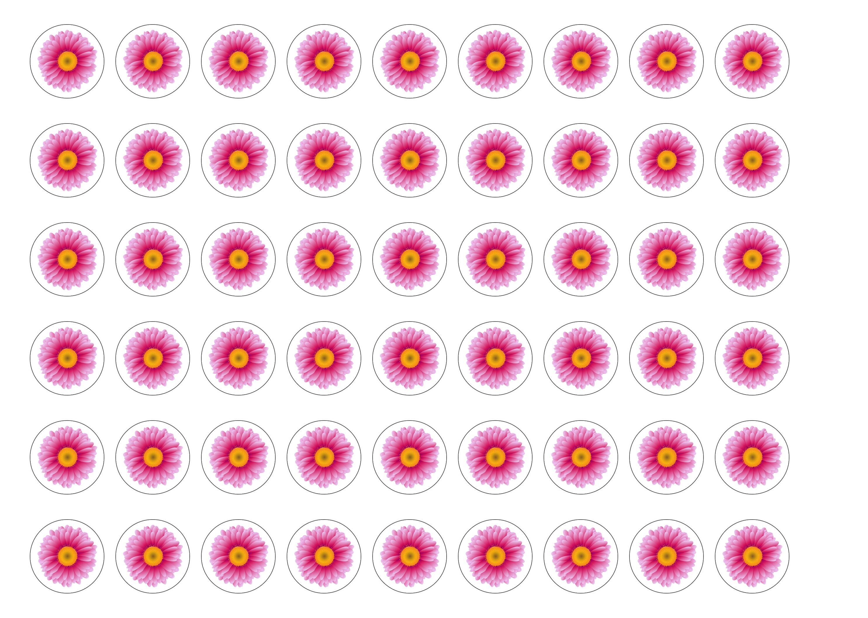 Multicoloured Flowers