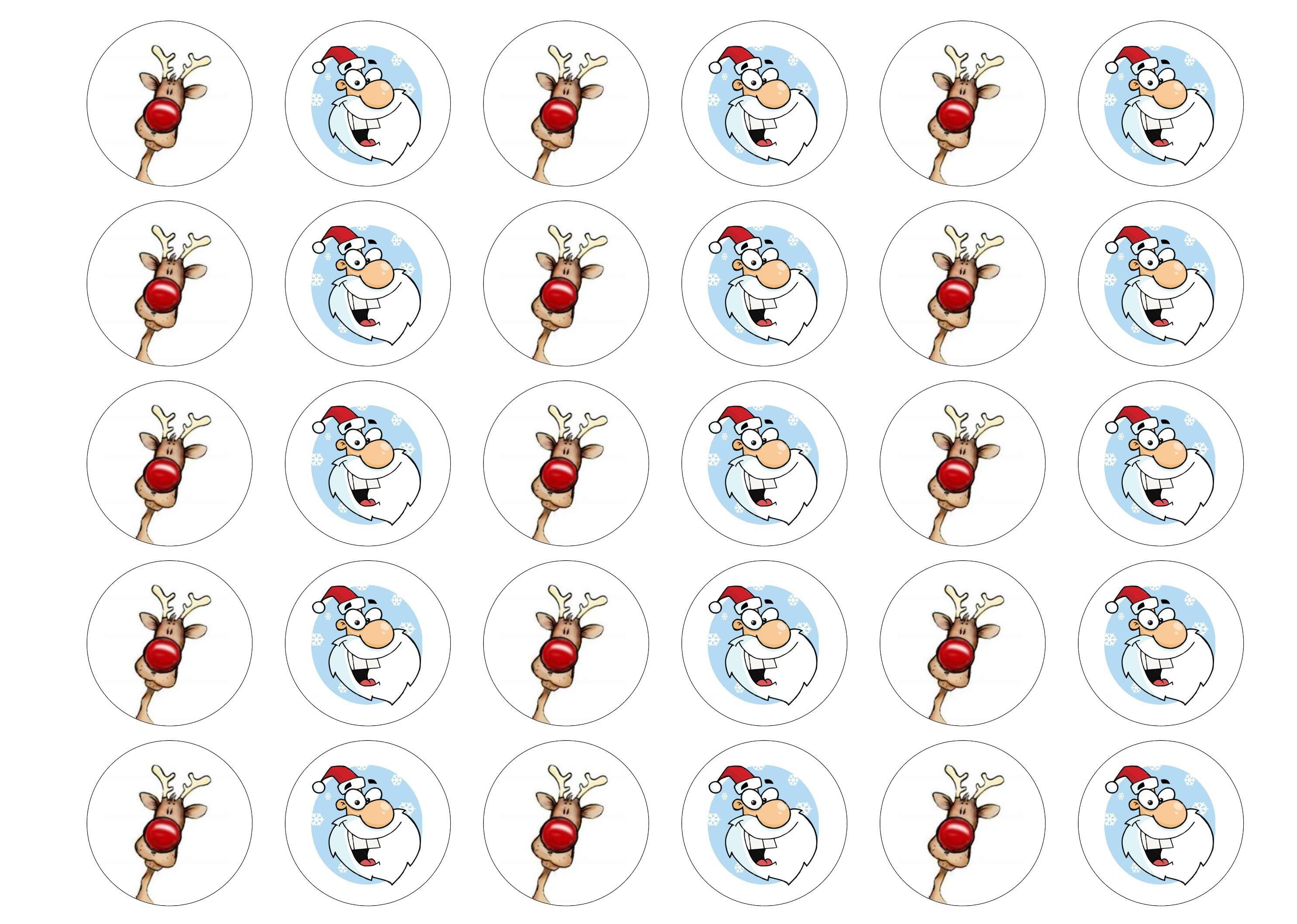 Printed cake toppers featuring Santa and Rudolph especially for Christmas.