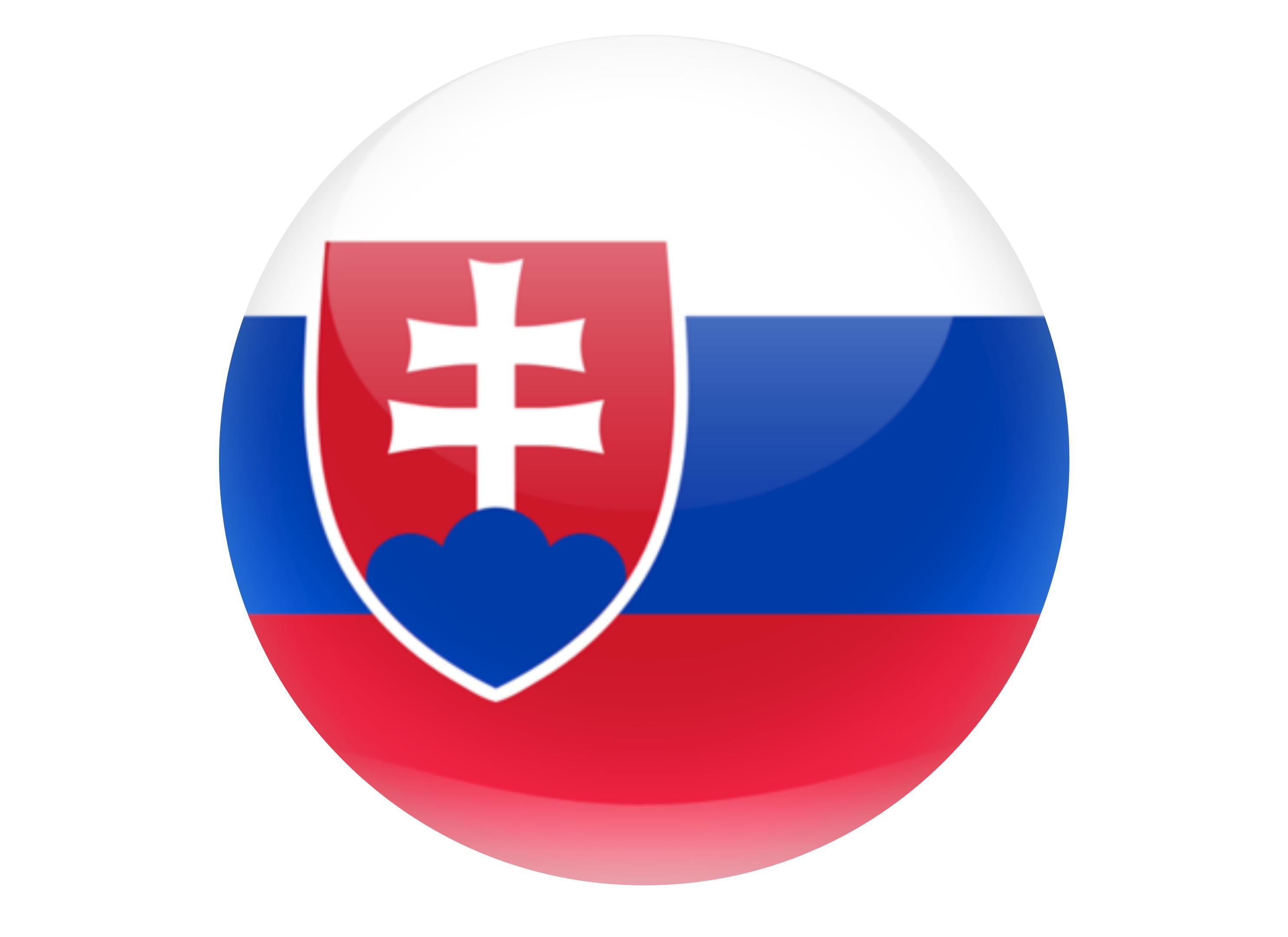 Slovakia flag cake topper