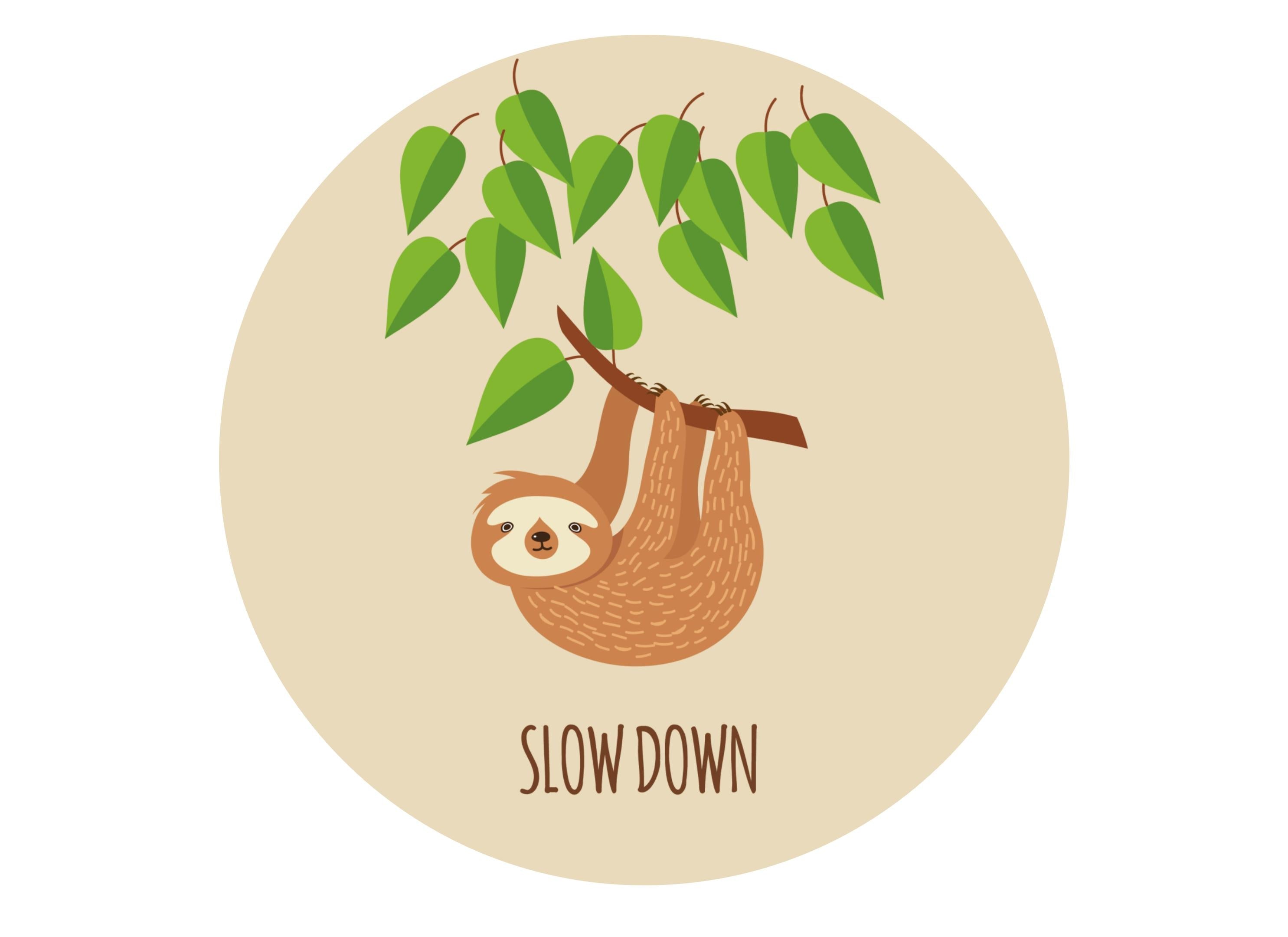 Slow Down Sloth