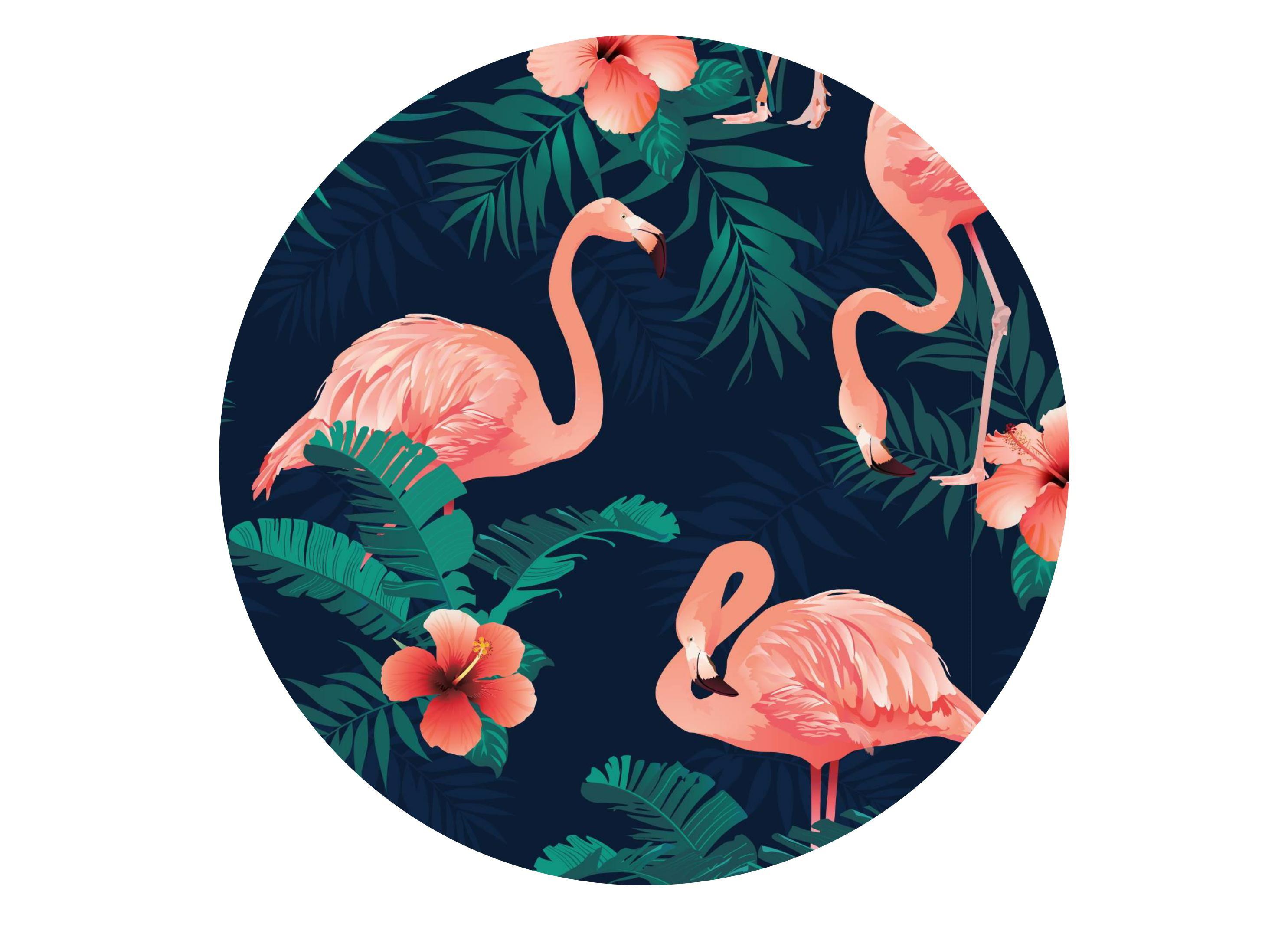 Tropical Flamingoes