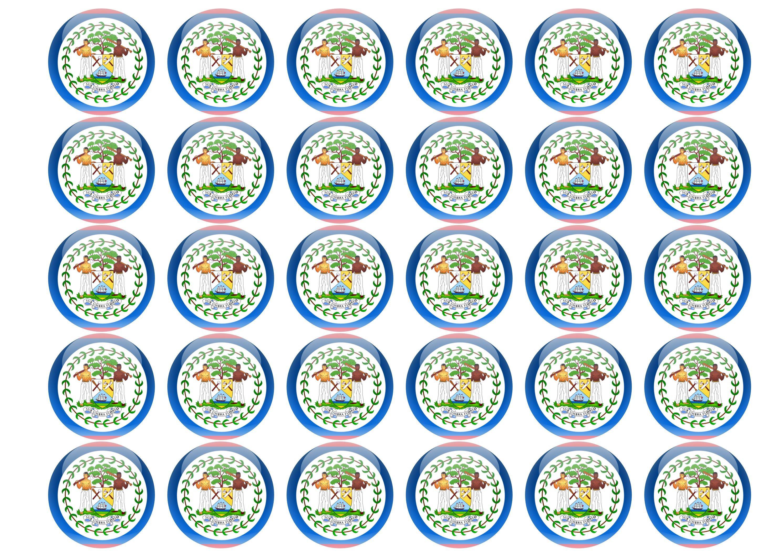 38mm printed edible cupcake toppers - Belize