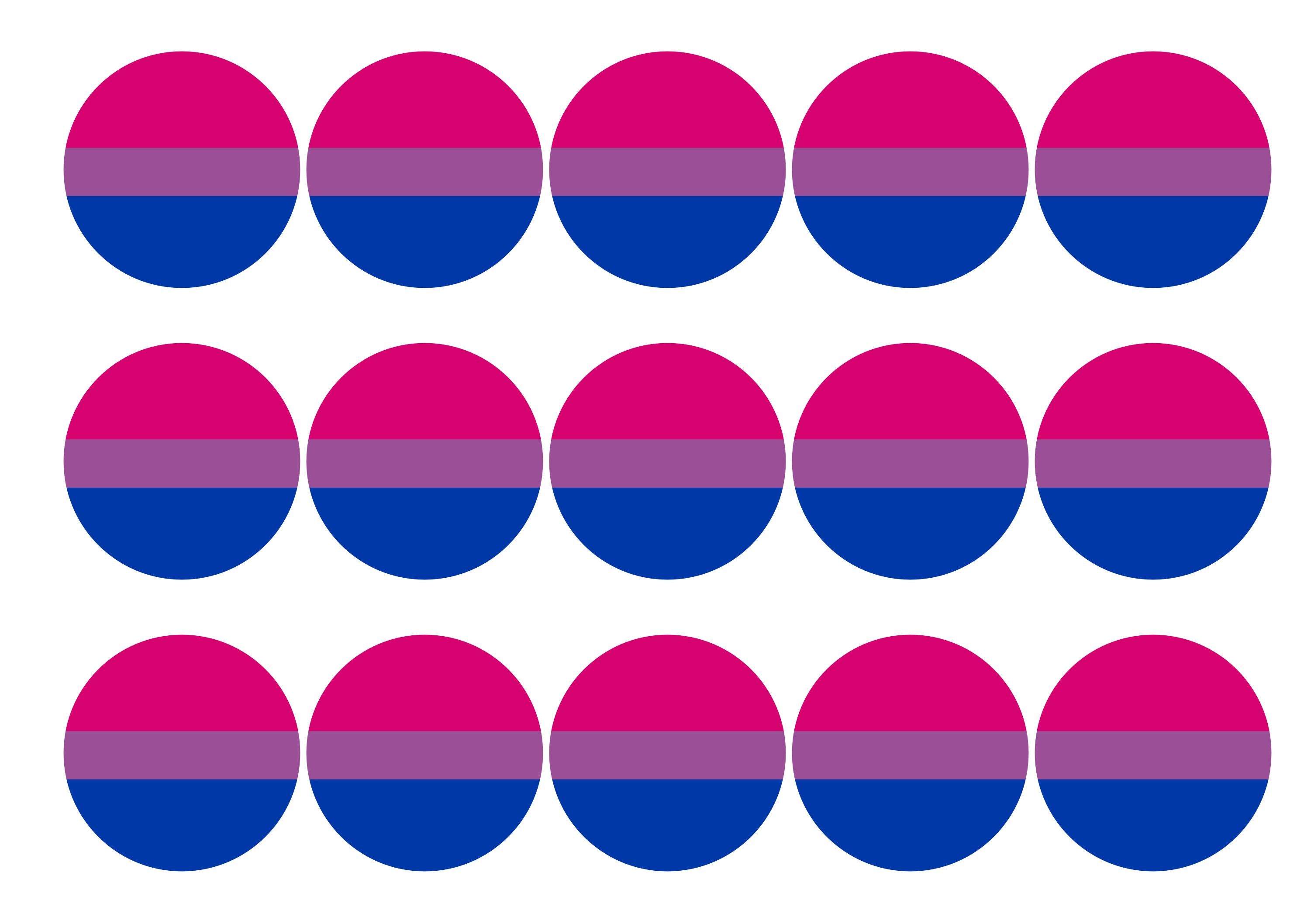 Bisexual Pride Flag