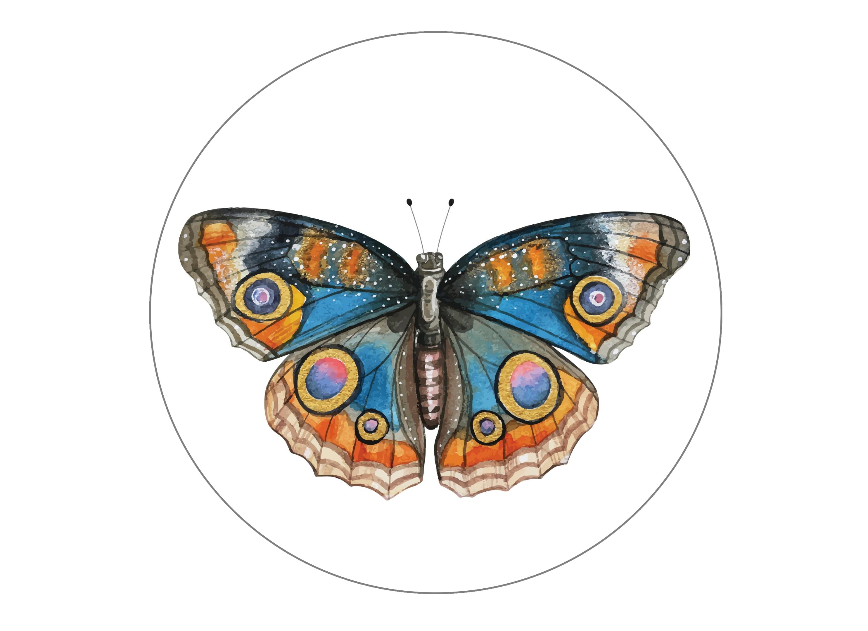 Butterflies
