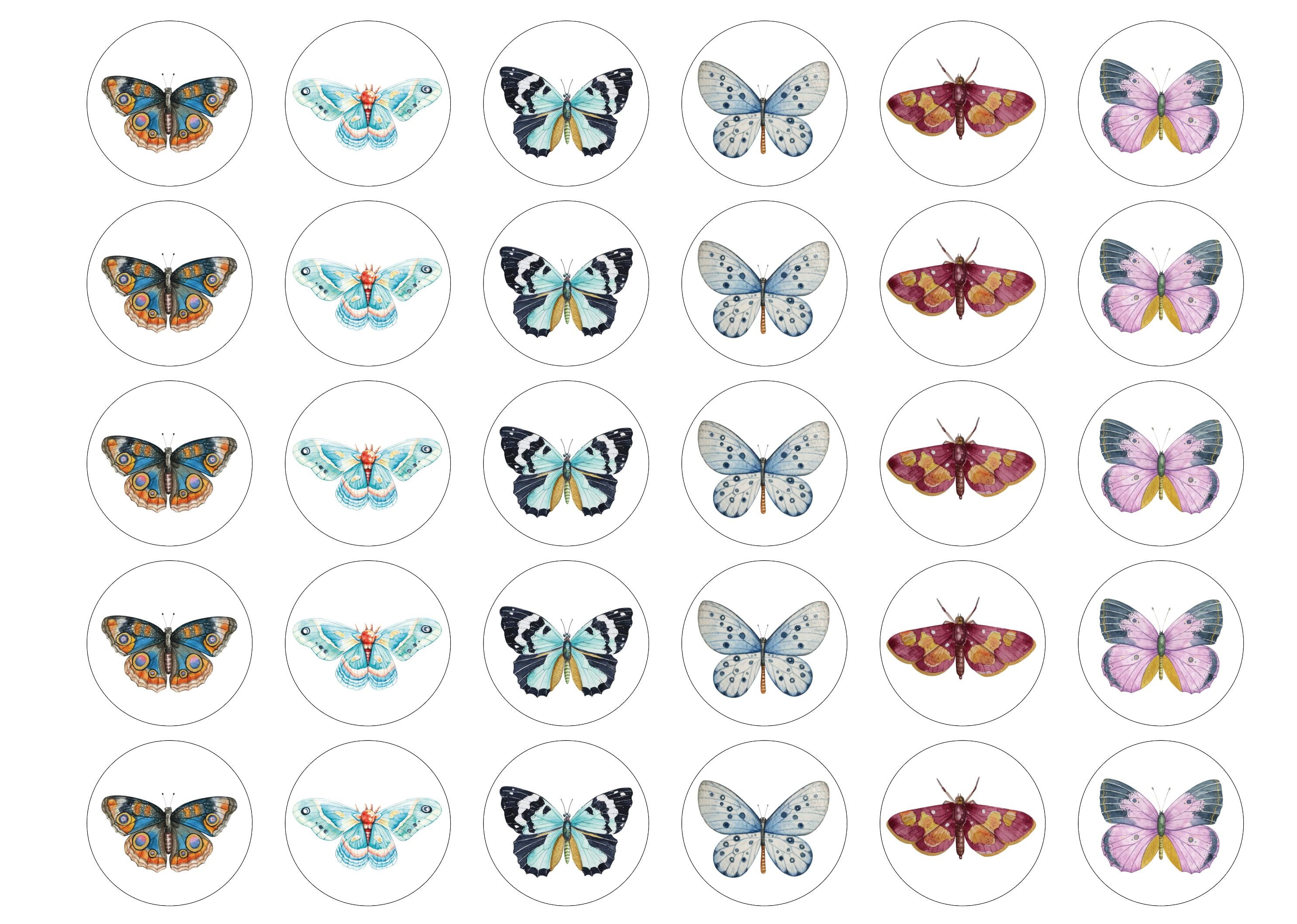 Butterflies