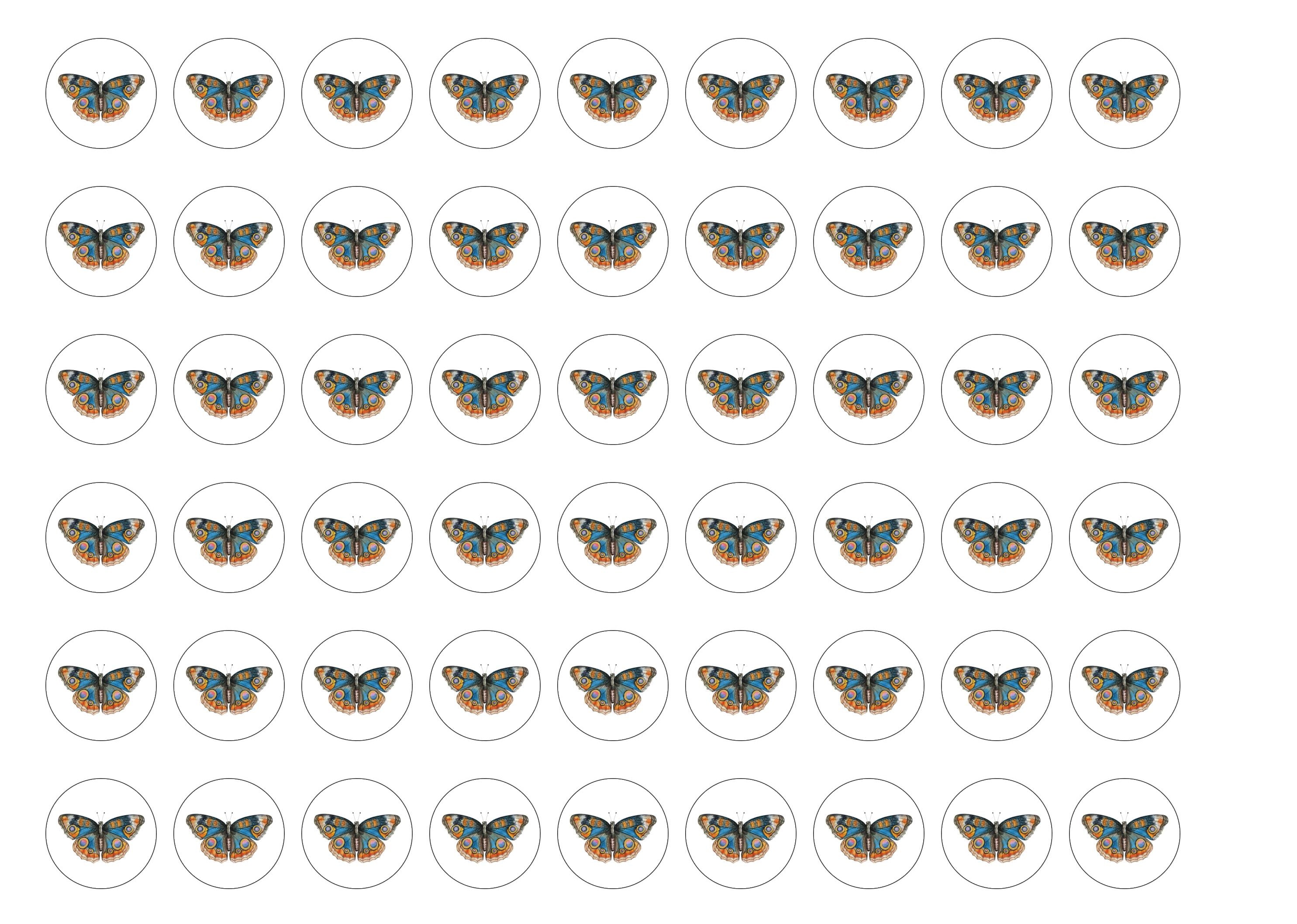 Butterflies