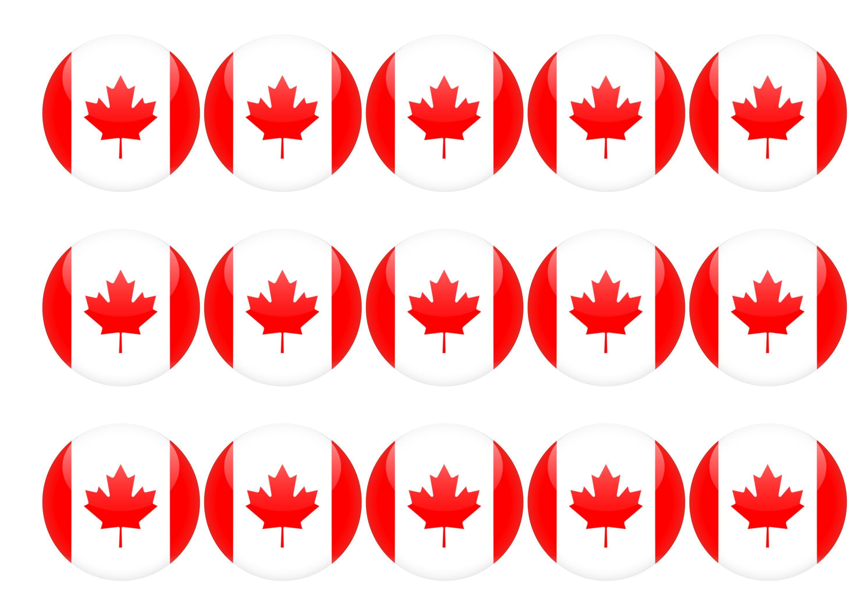 50mm printed edible cupcake toppers