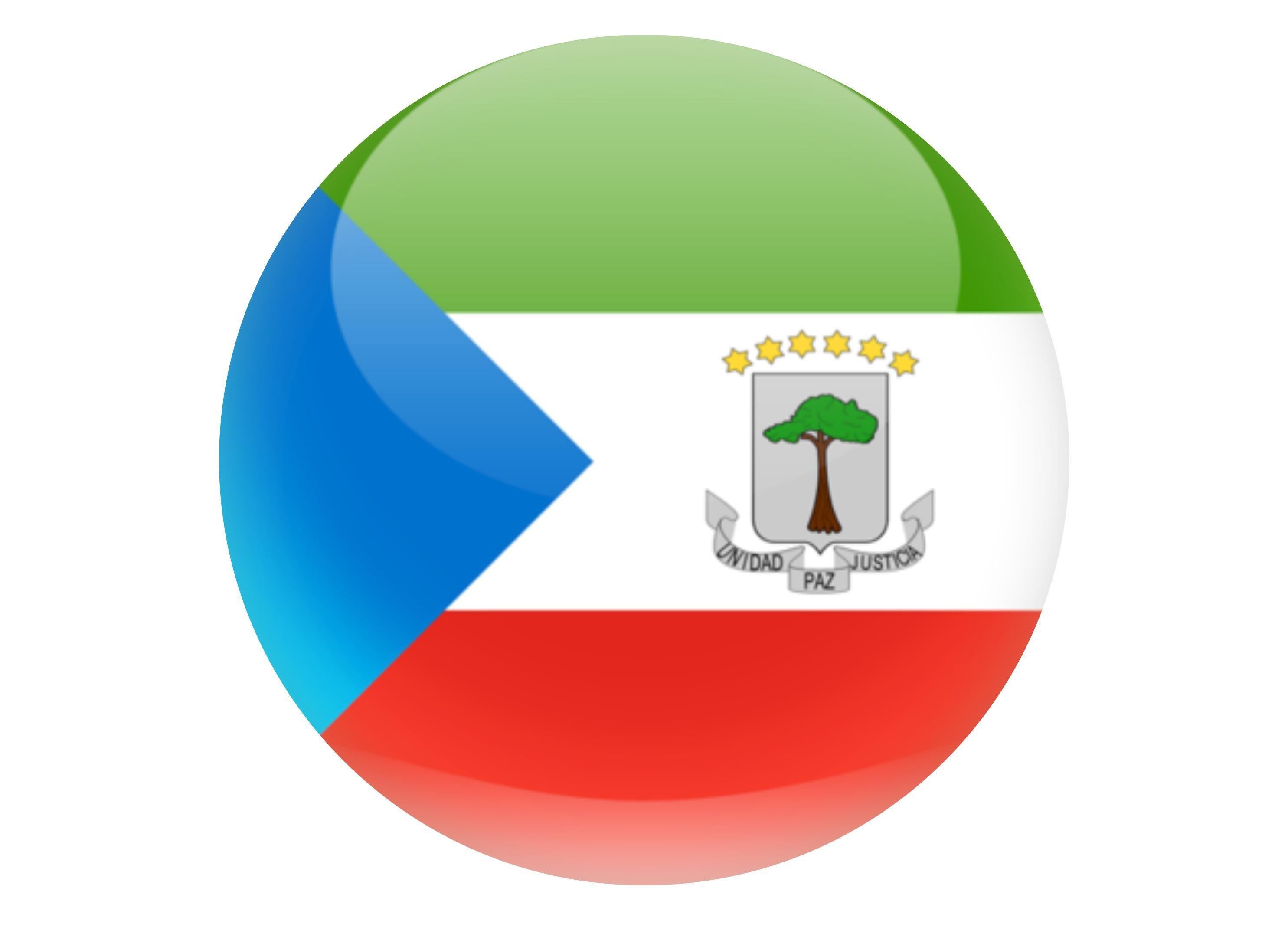 190mm printed edible cake topper - Equatorial Guinea