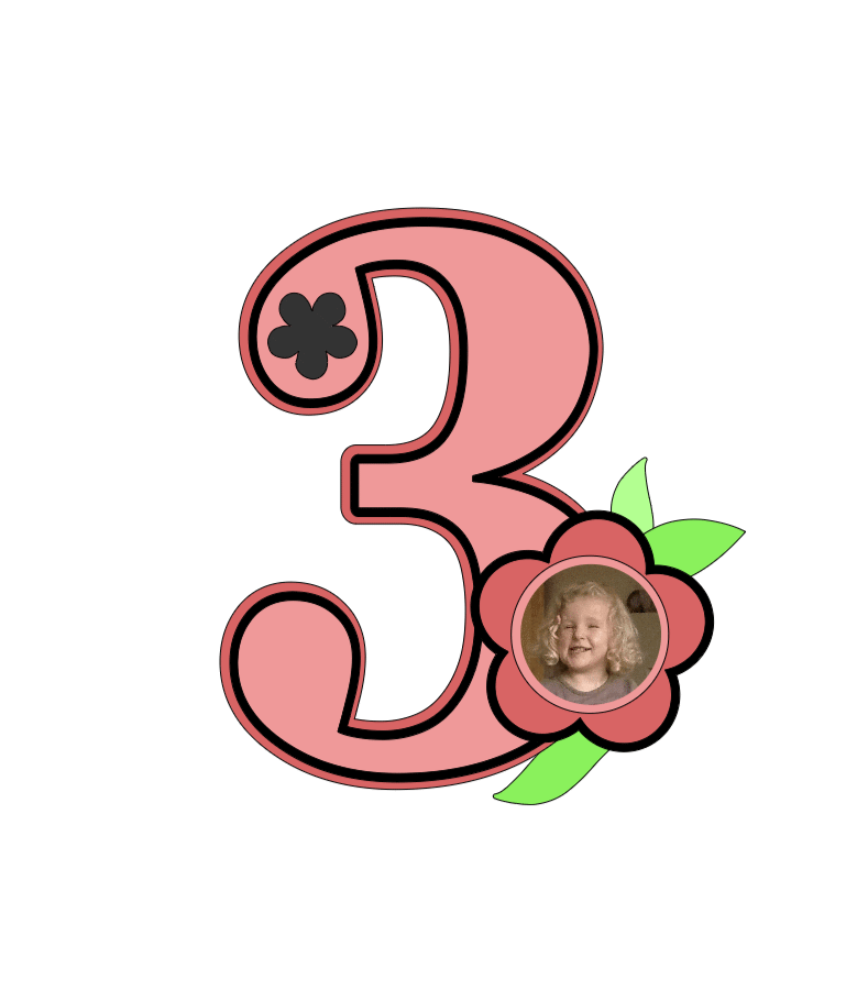 Personalised Birthday Photo Number Topper - Flower