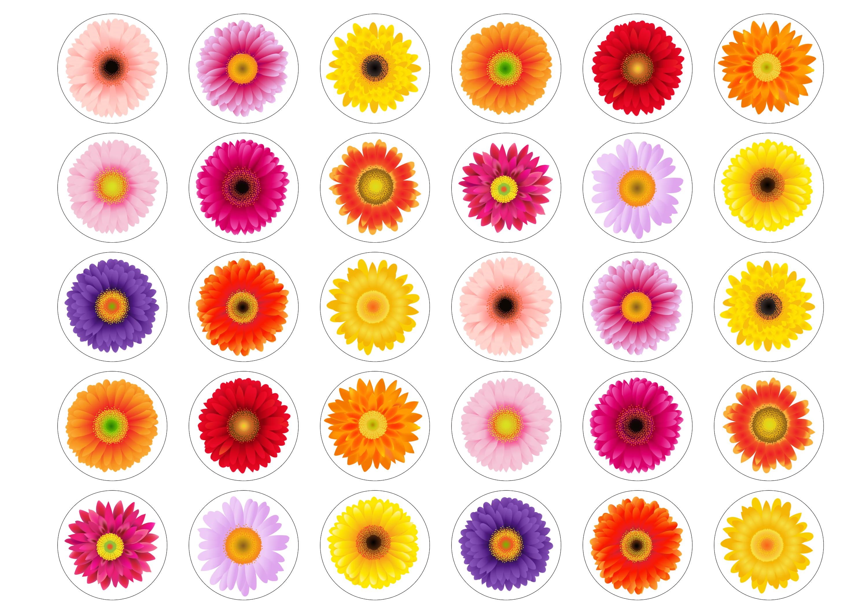 Multicoloured Flowers