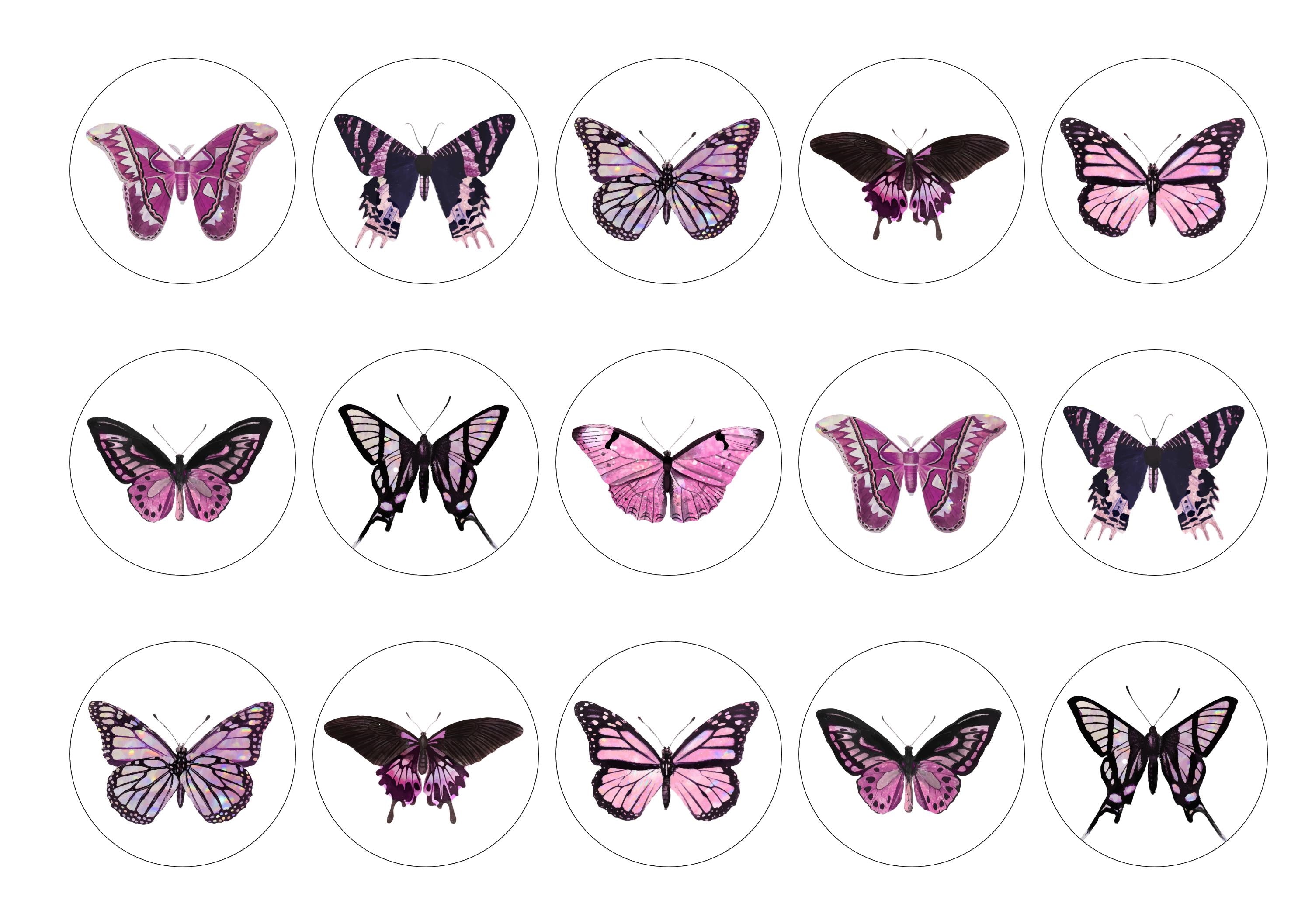 Pink Butterflies