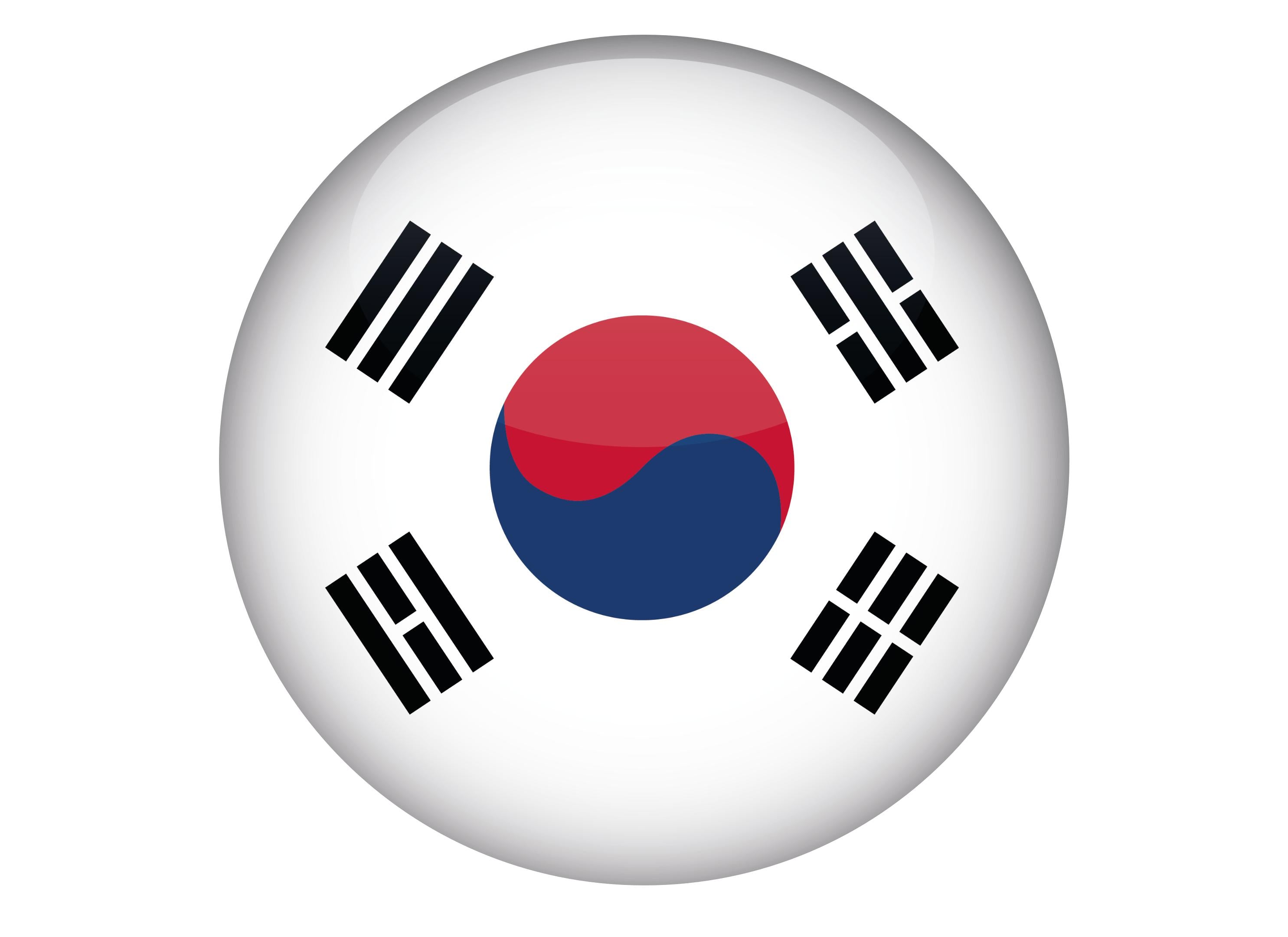Large cake topper with the flag of South Korea