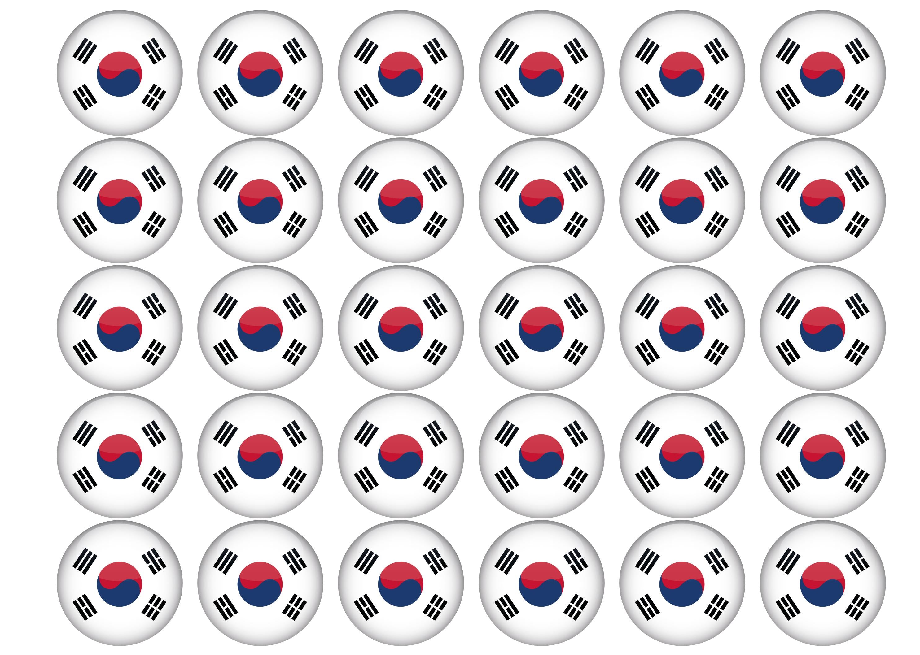 30 edible toppers with the South Korea flag