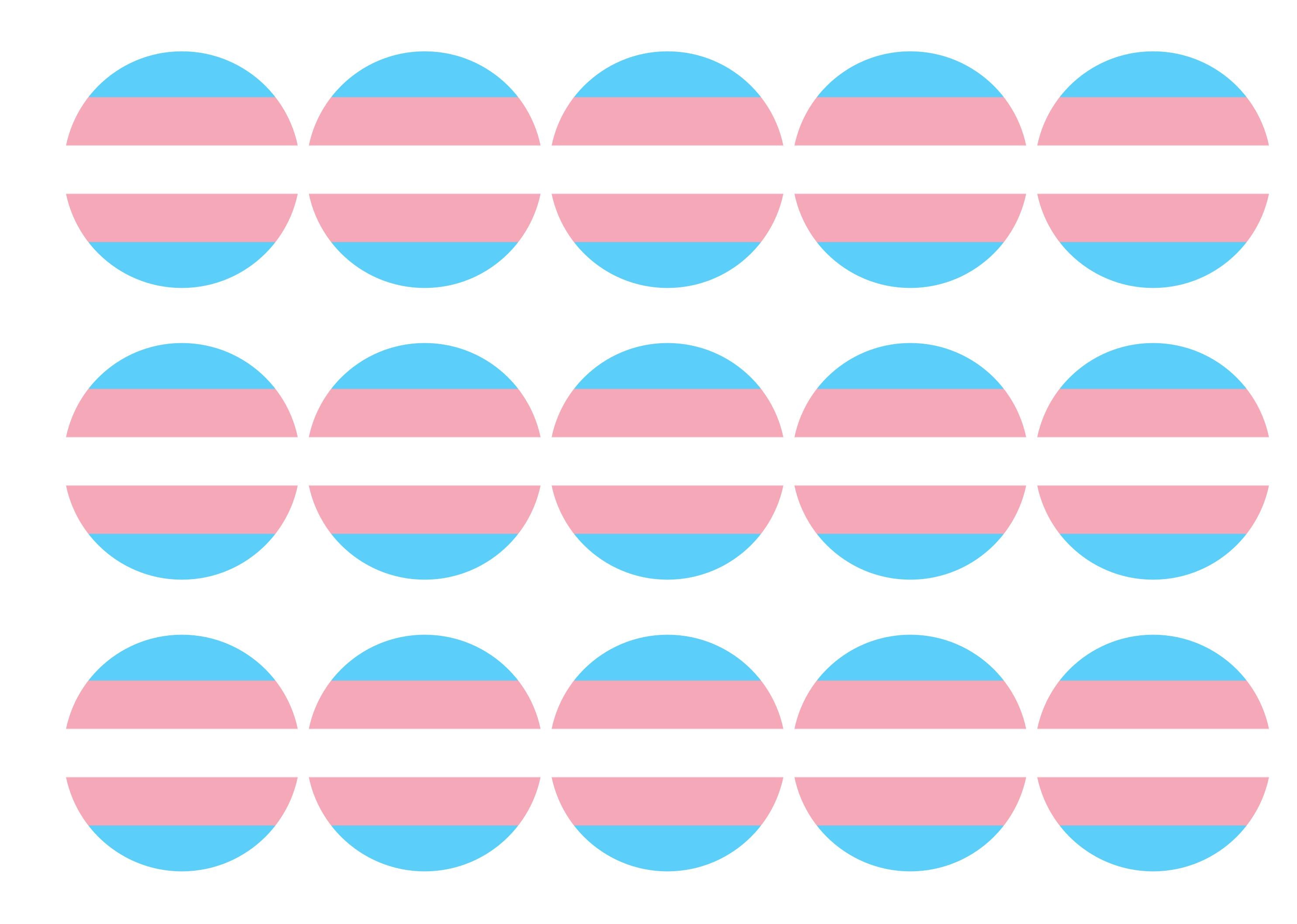 Transgender Pride Flag