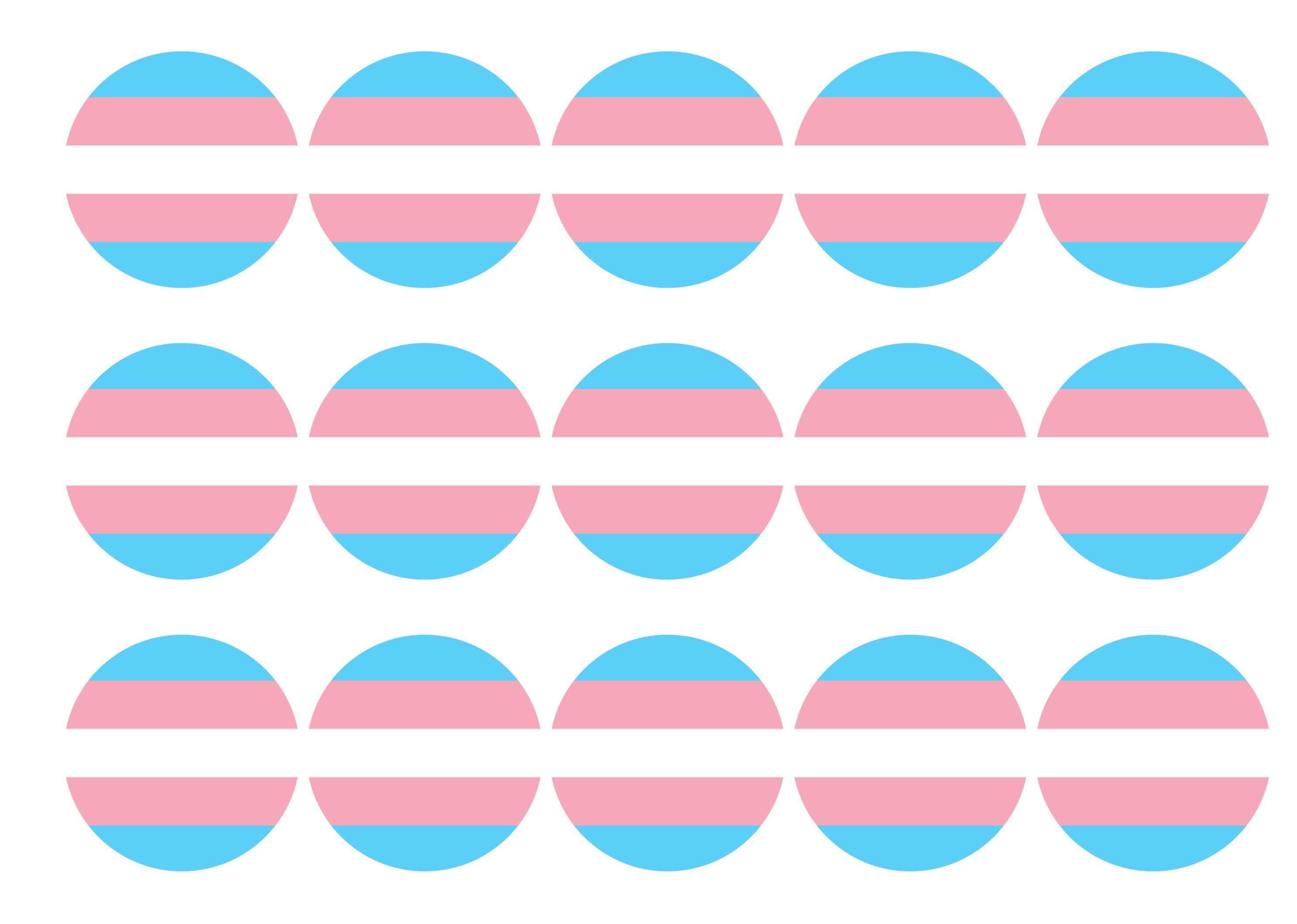 Transgender Pride Flag