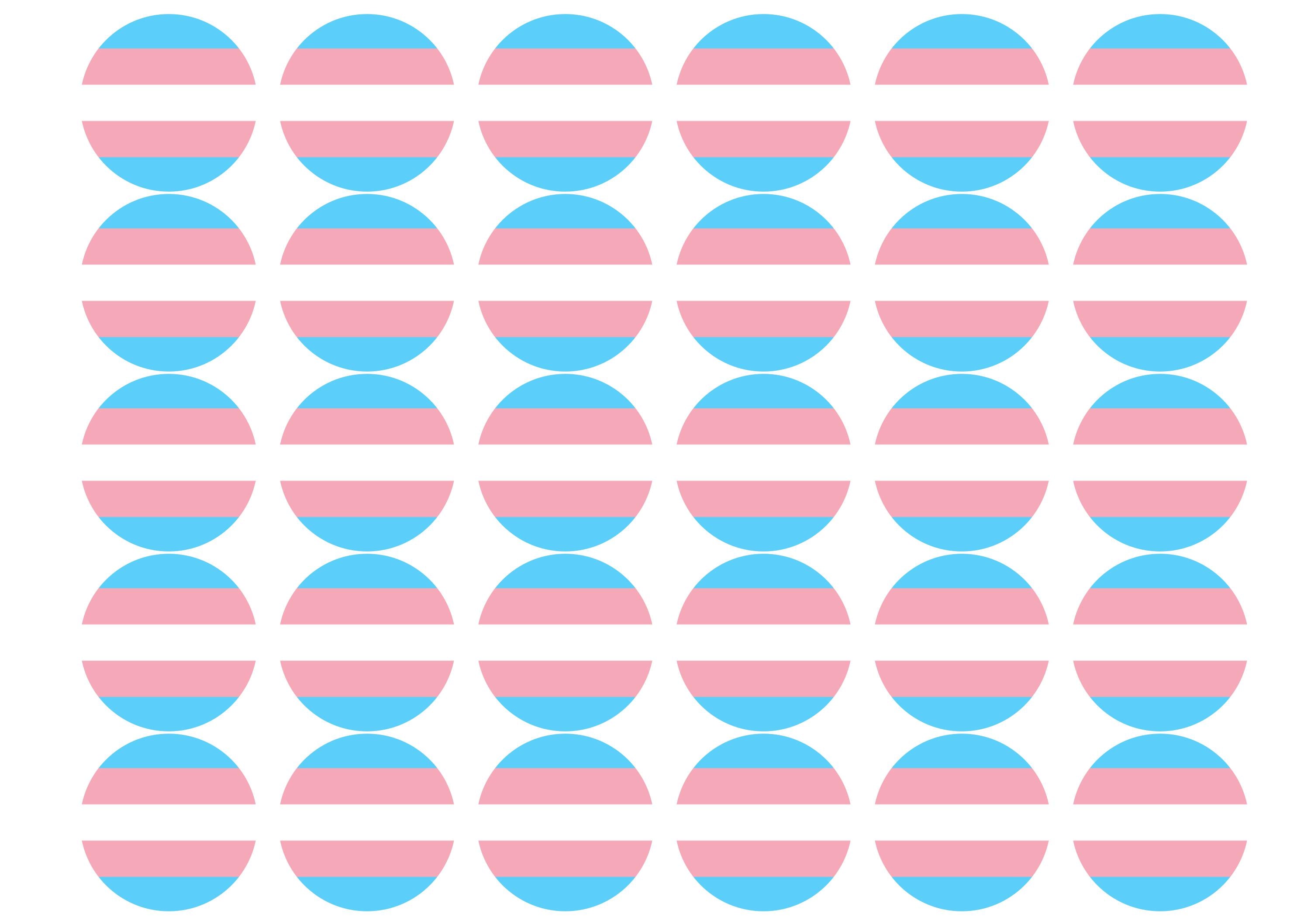 Transgender Pride Flag