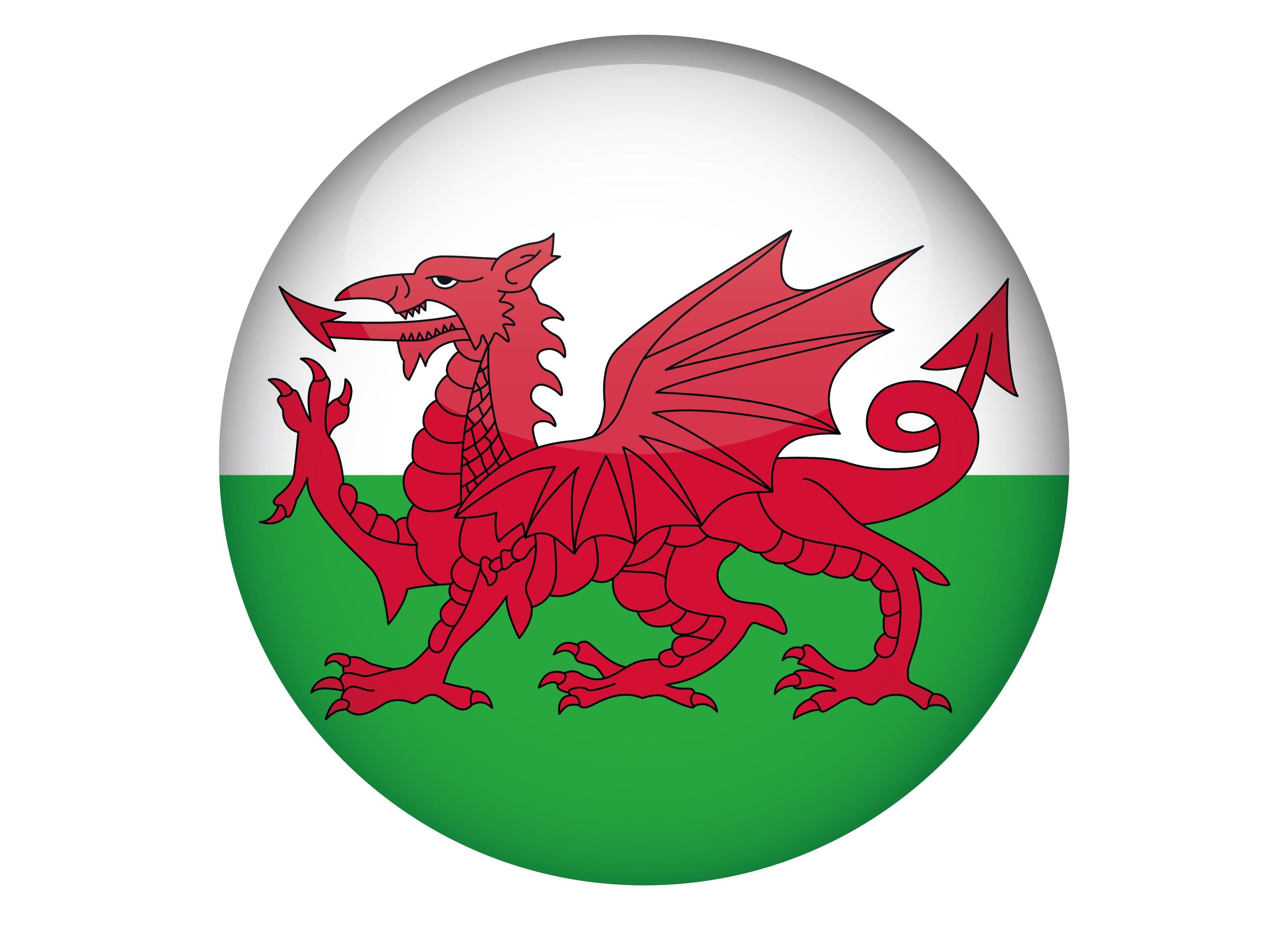 Large cake topper with the Welsh flag